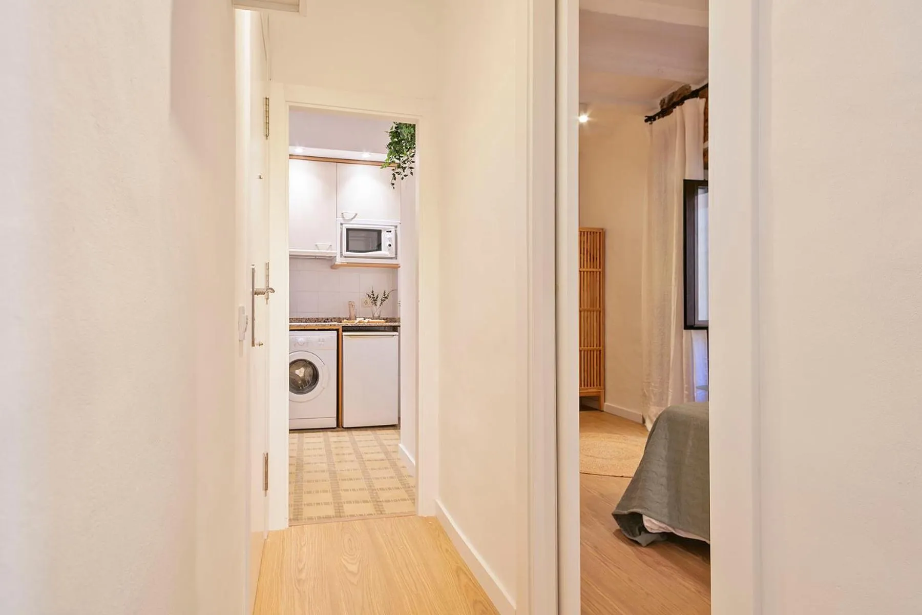 Photo of the whole room in Citytrip Palau de la Música