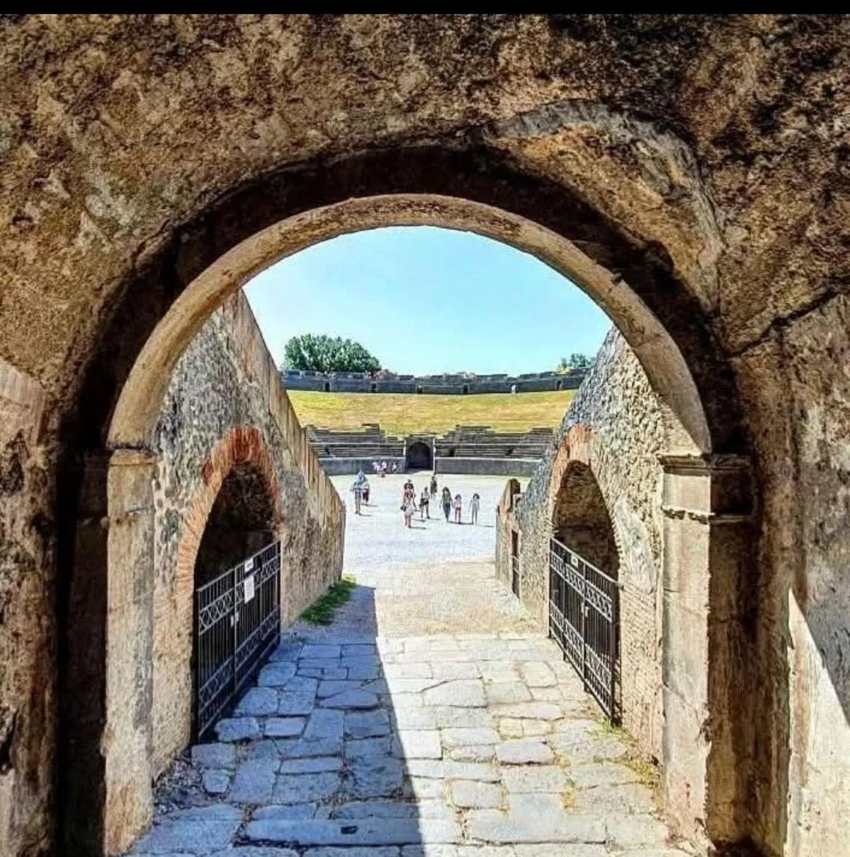 La Corte delle Vanità