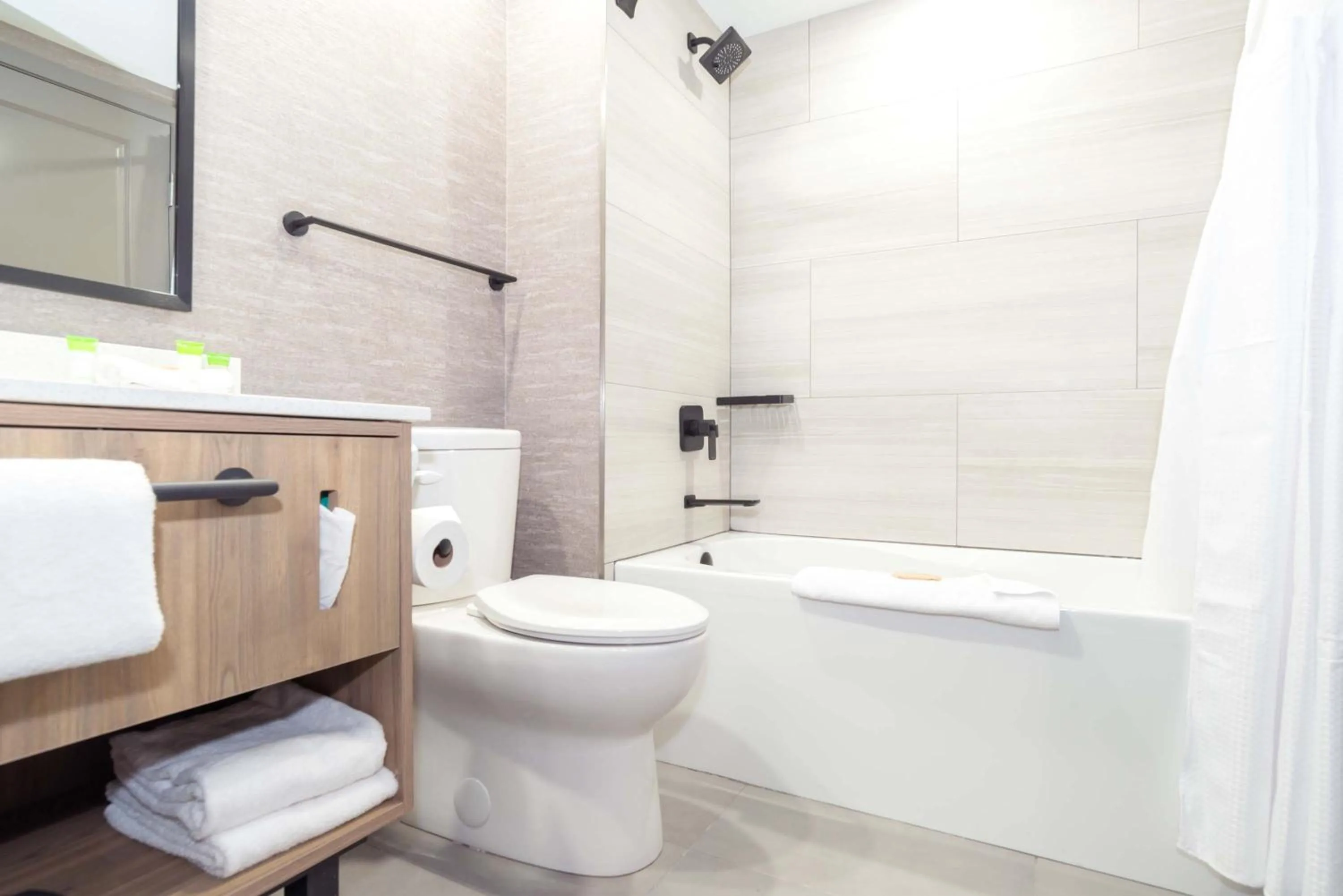 Bathroom in Sandman Hotel & Suites Regina