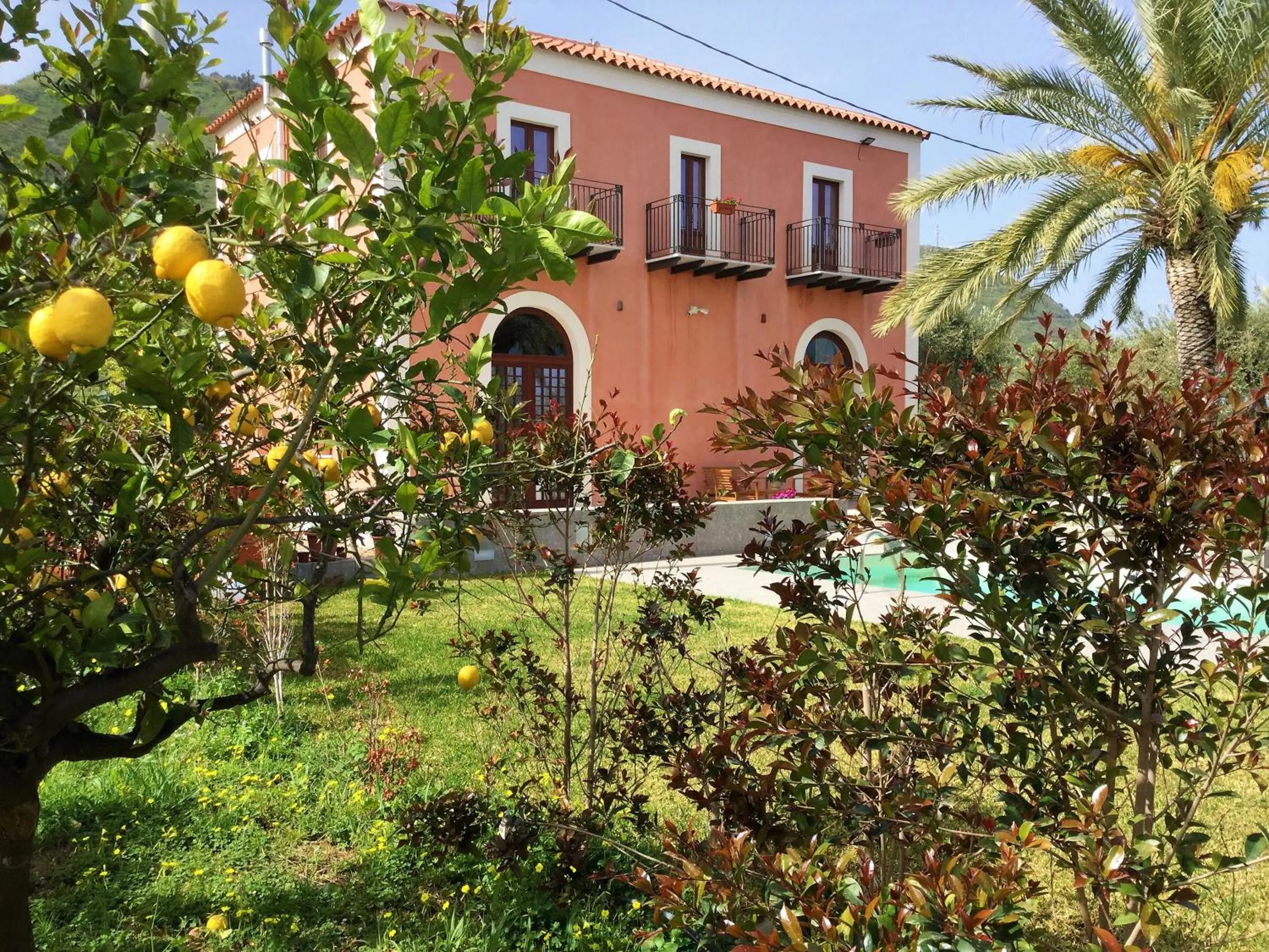Facade/entrance in Il dono di Atena