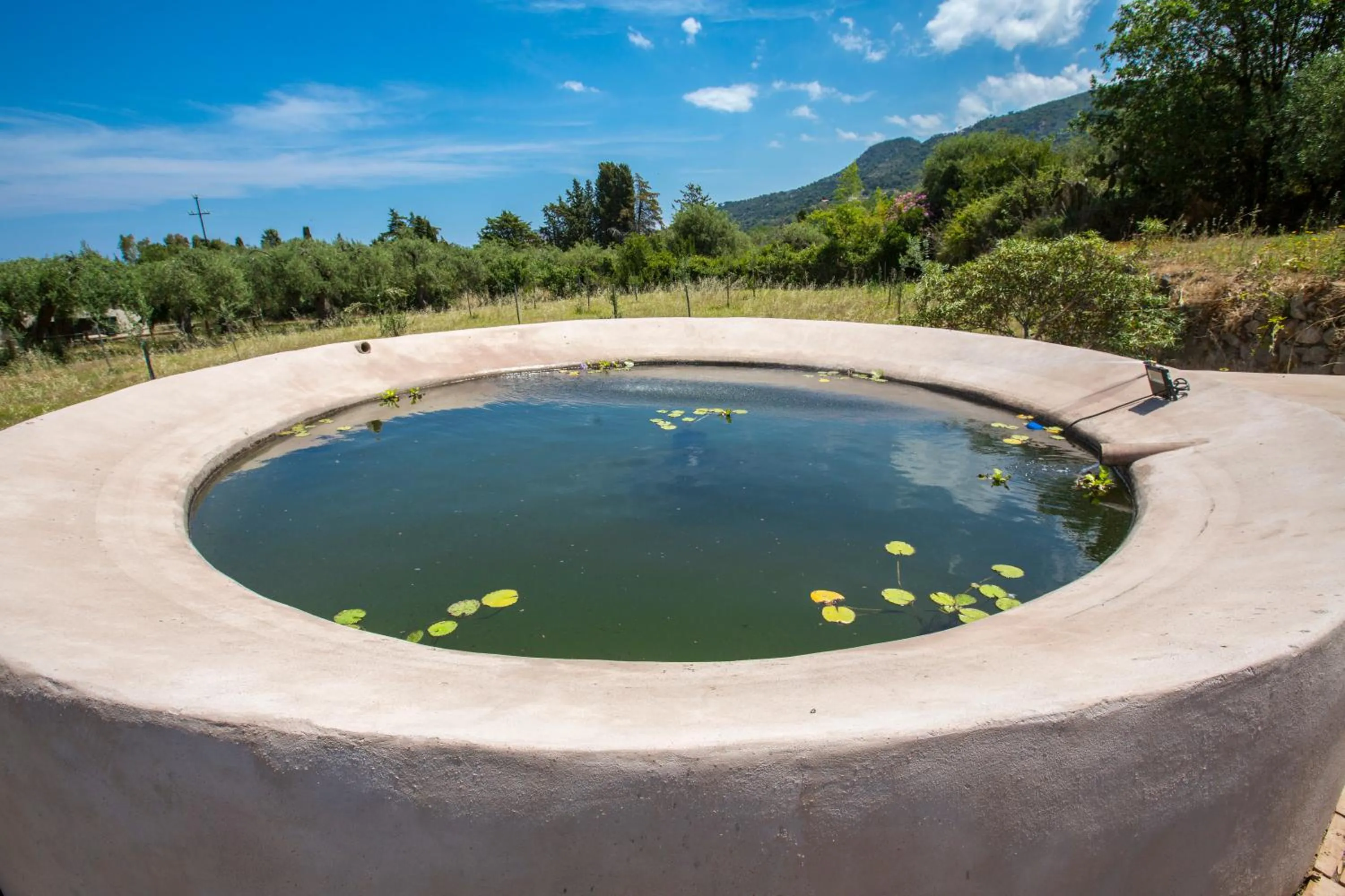 Garden in Il dono di Atena