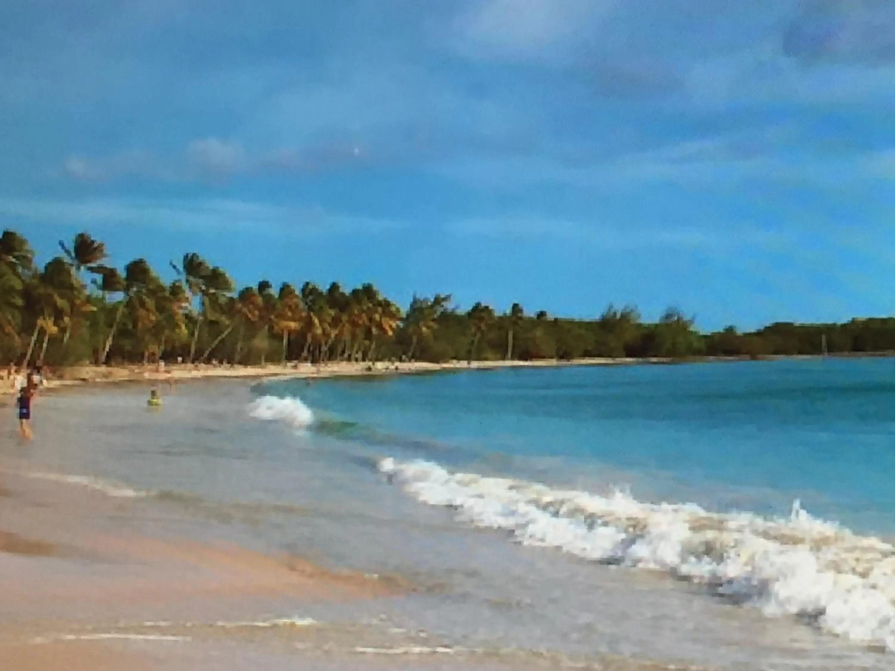 Beach in TI PARADIS DE l'ANSE FIGUIER VILLA voir site vacances en martinique