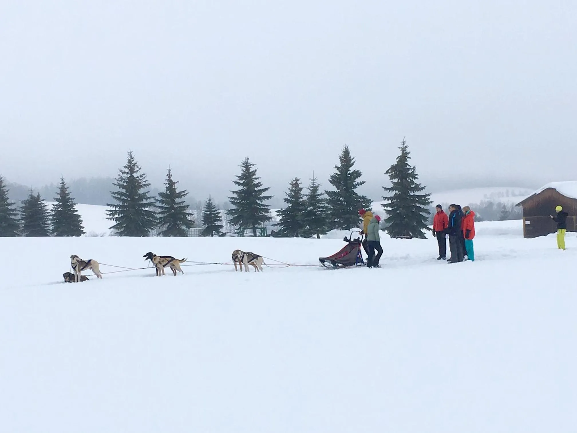 Winter in Grund Resort Golf and Ski