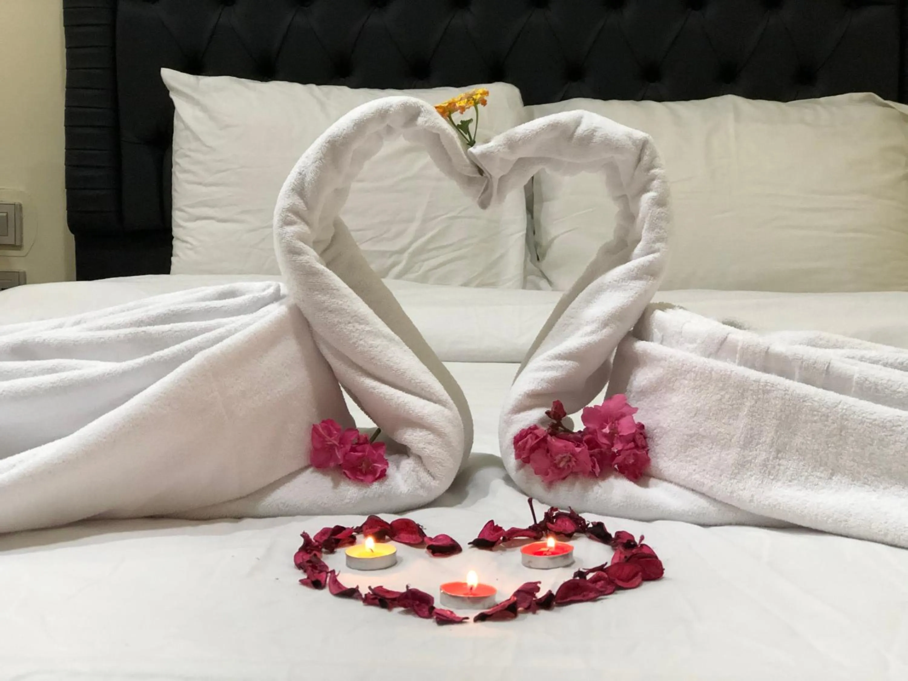 Bed in Best View Pyramids Hotel