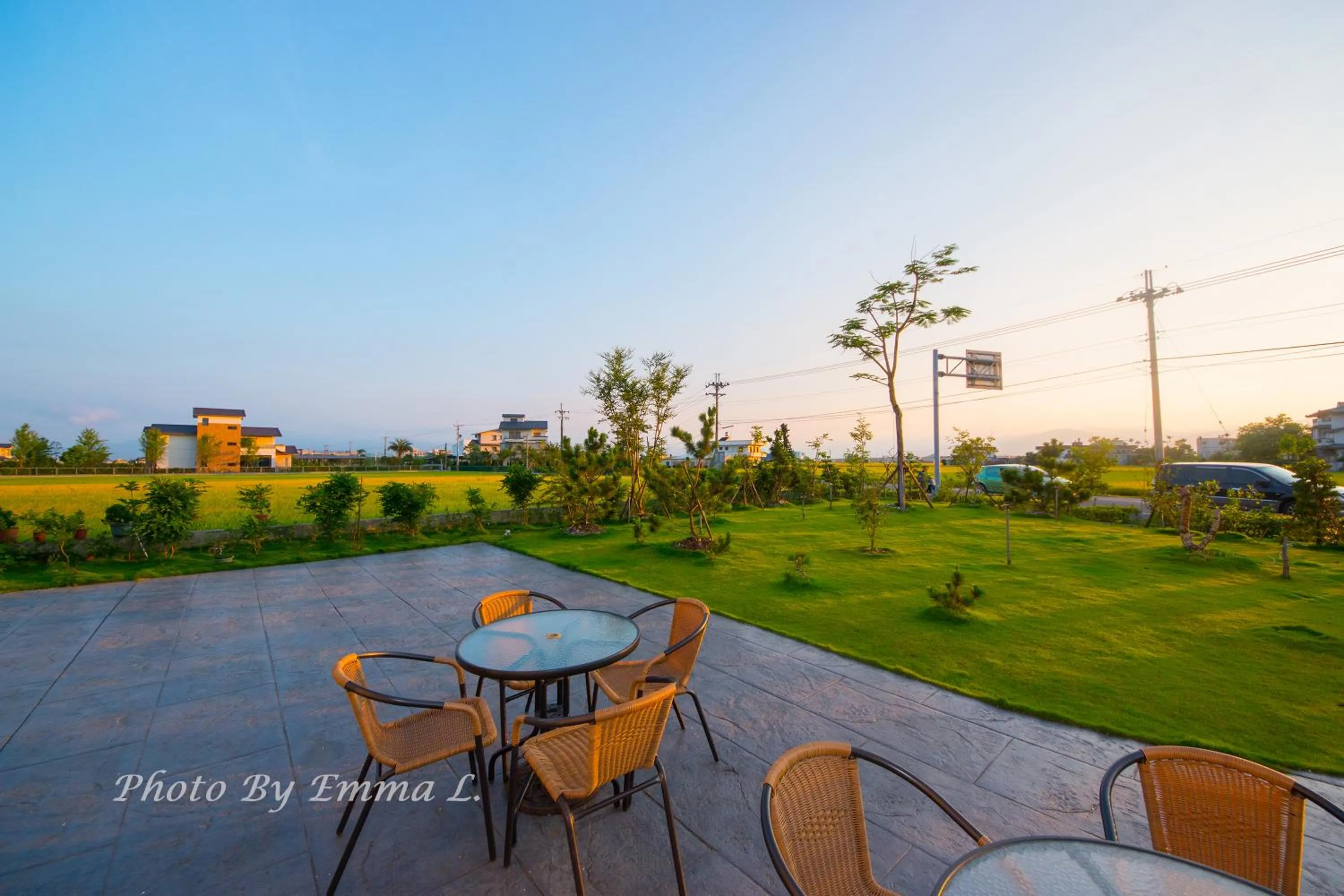 Garden in Colorful Fish Cottage