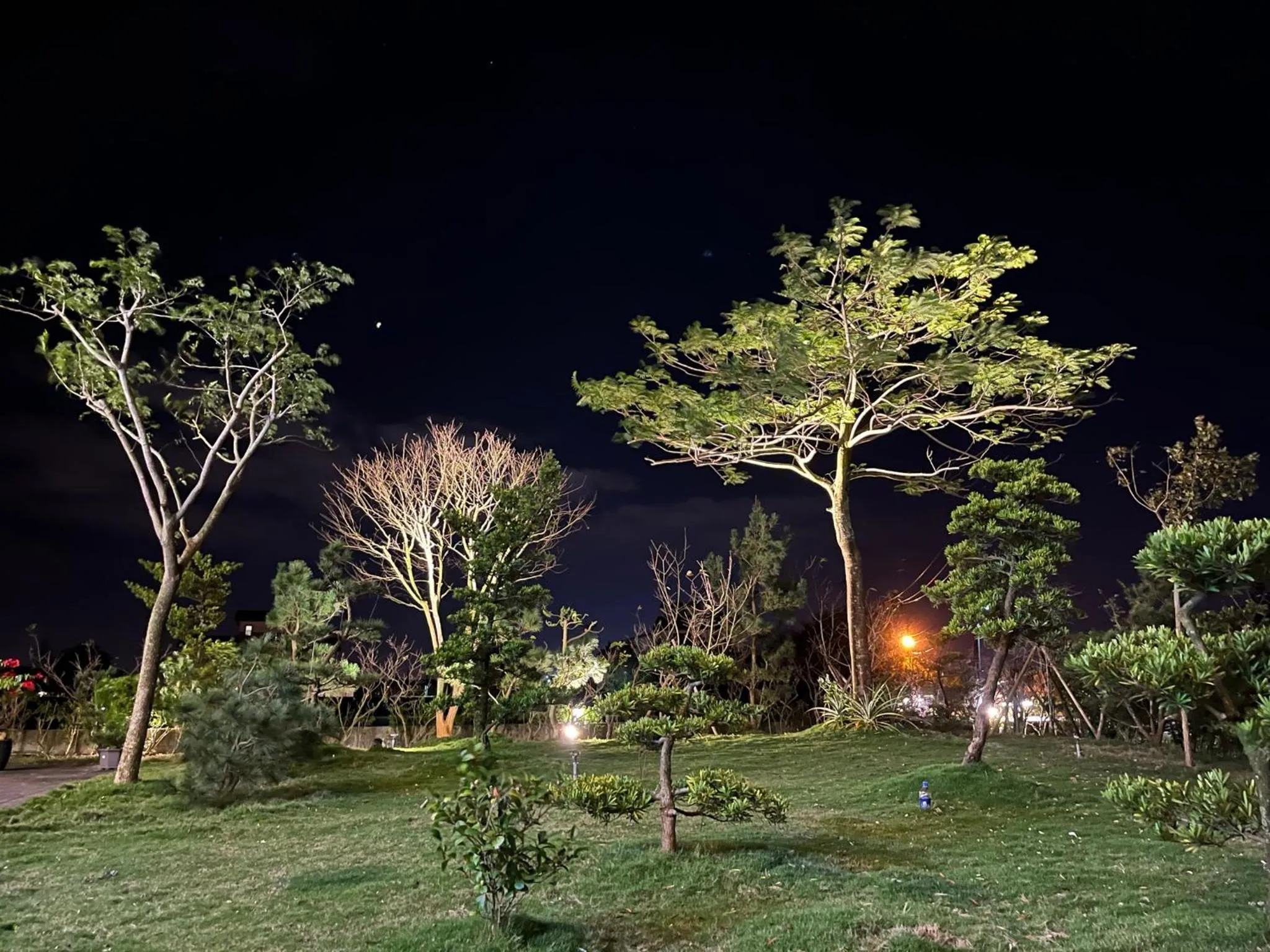 Garden in Colorful Fish Cottage