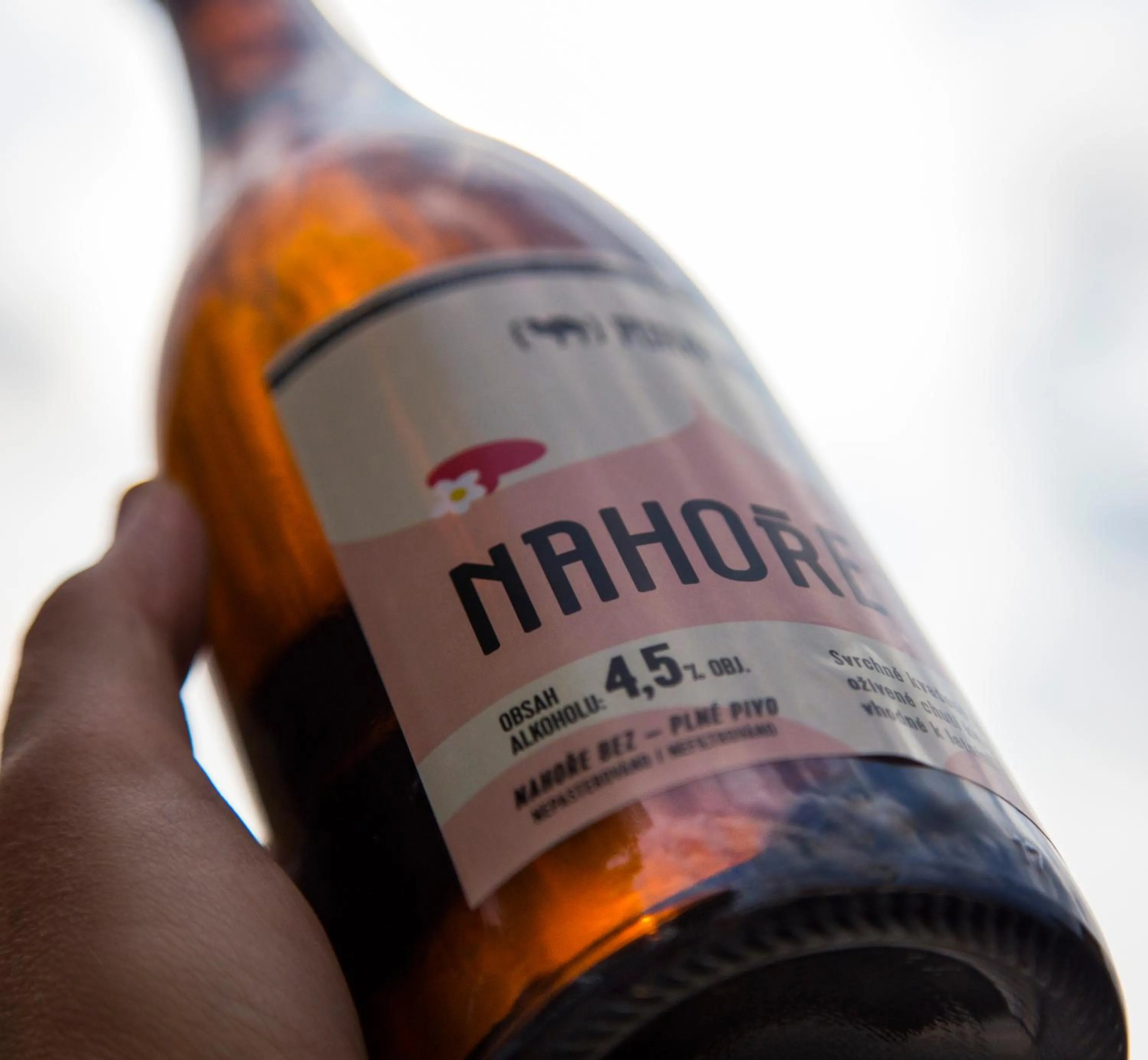 Logo/Certificate/Sign in Hotel Purkmistr