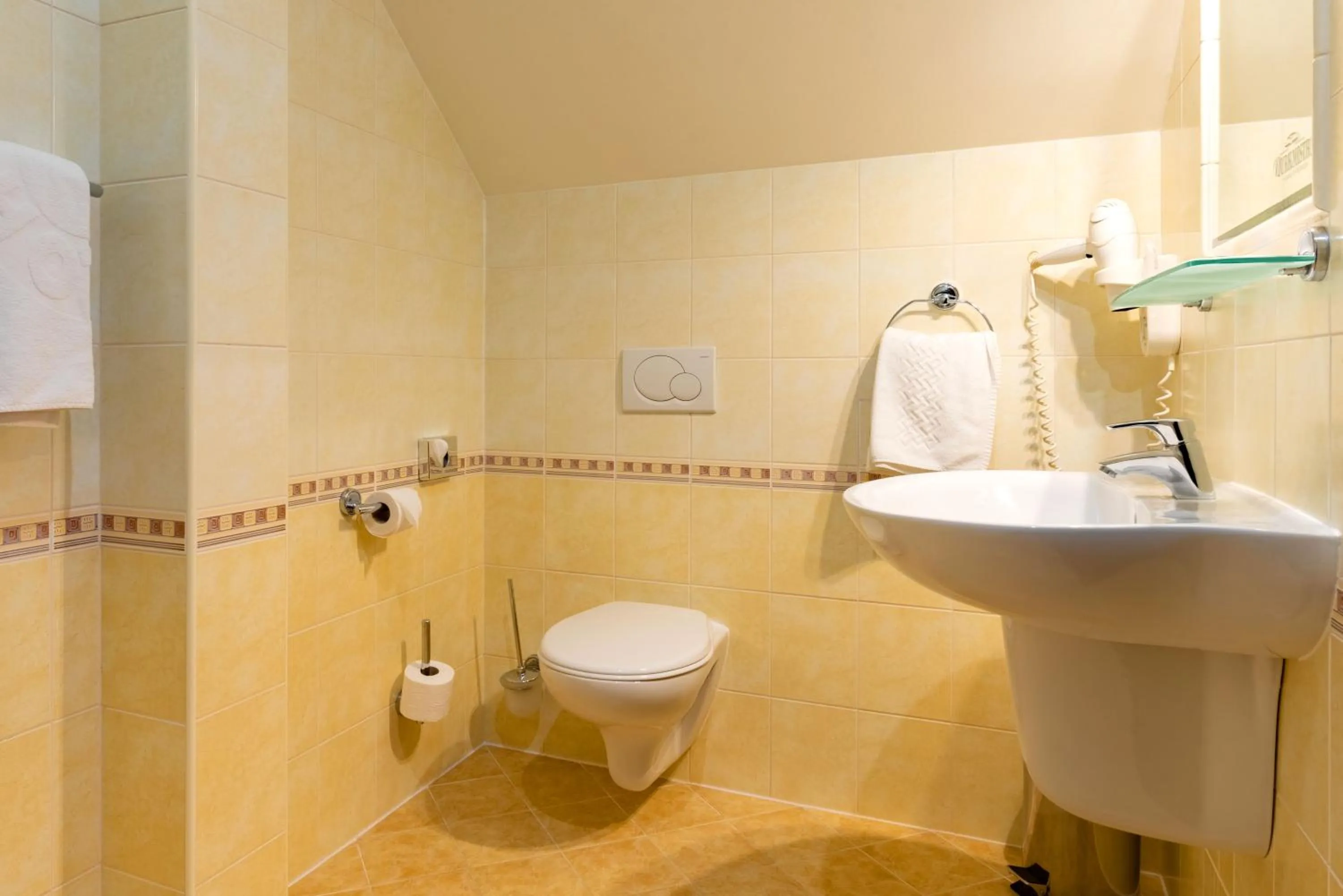 Bathroom in Hotel Purkmistr