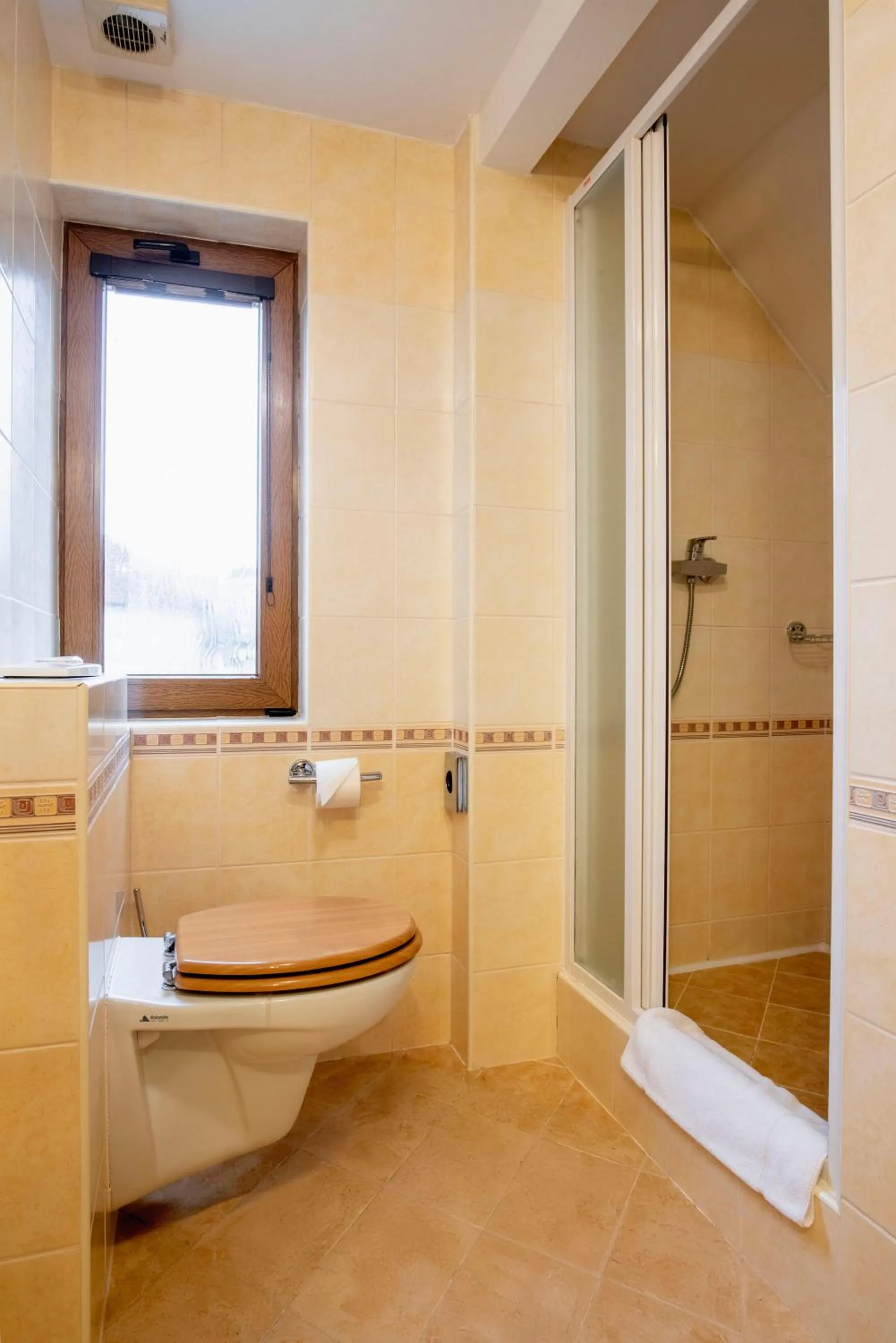 Shower in Wellness Hotel Gondola