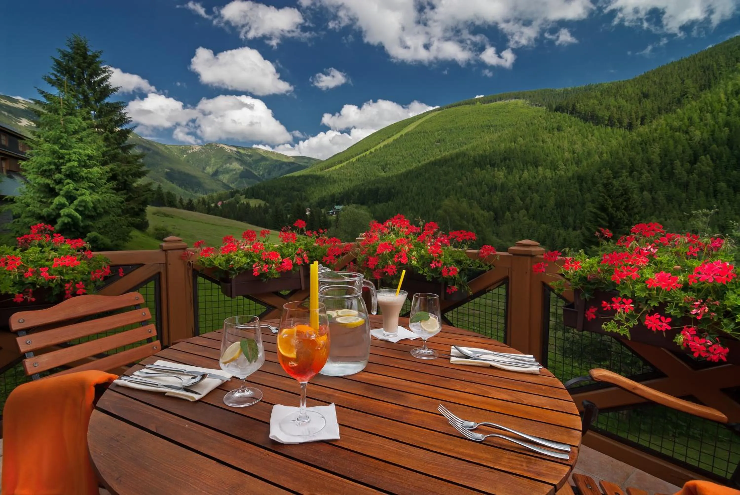 Restaurant/places to eat in Hotel Zátiší