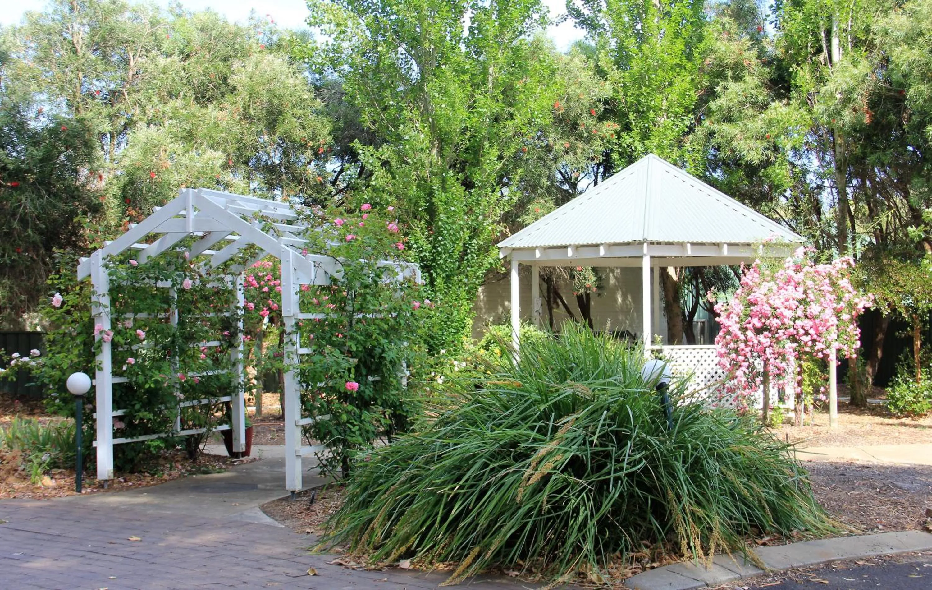 Area and facilities in Busselton Ithaca Motel