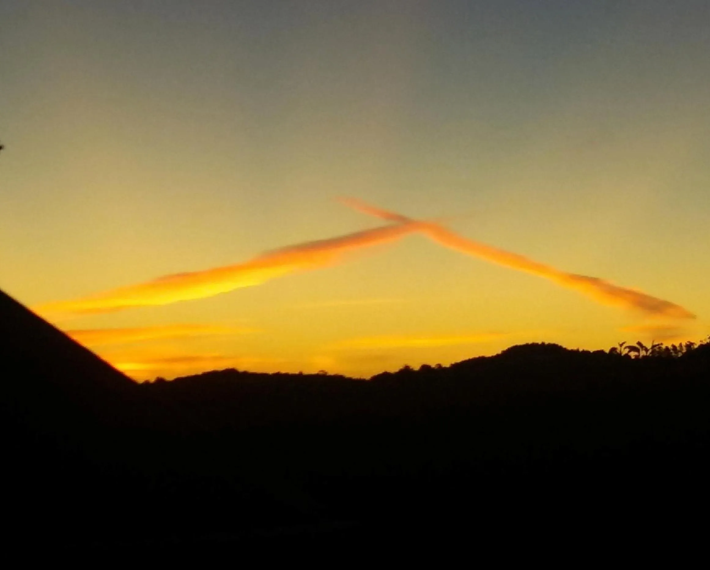 View (from property/room) in Kauri Villas
