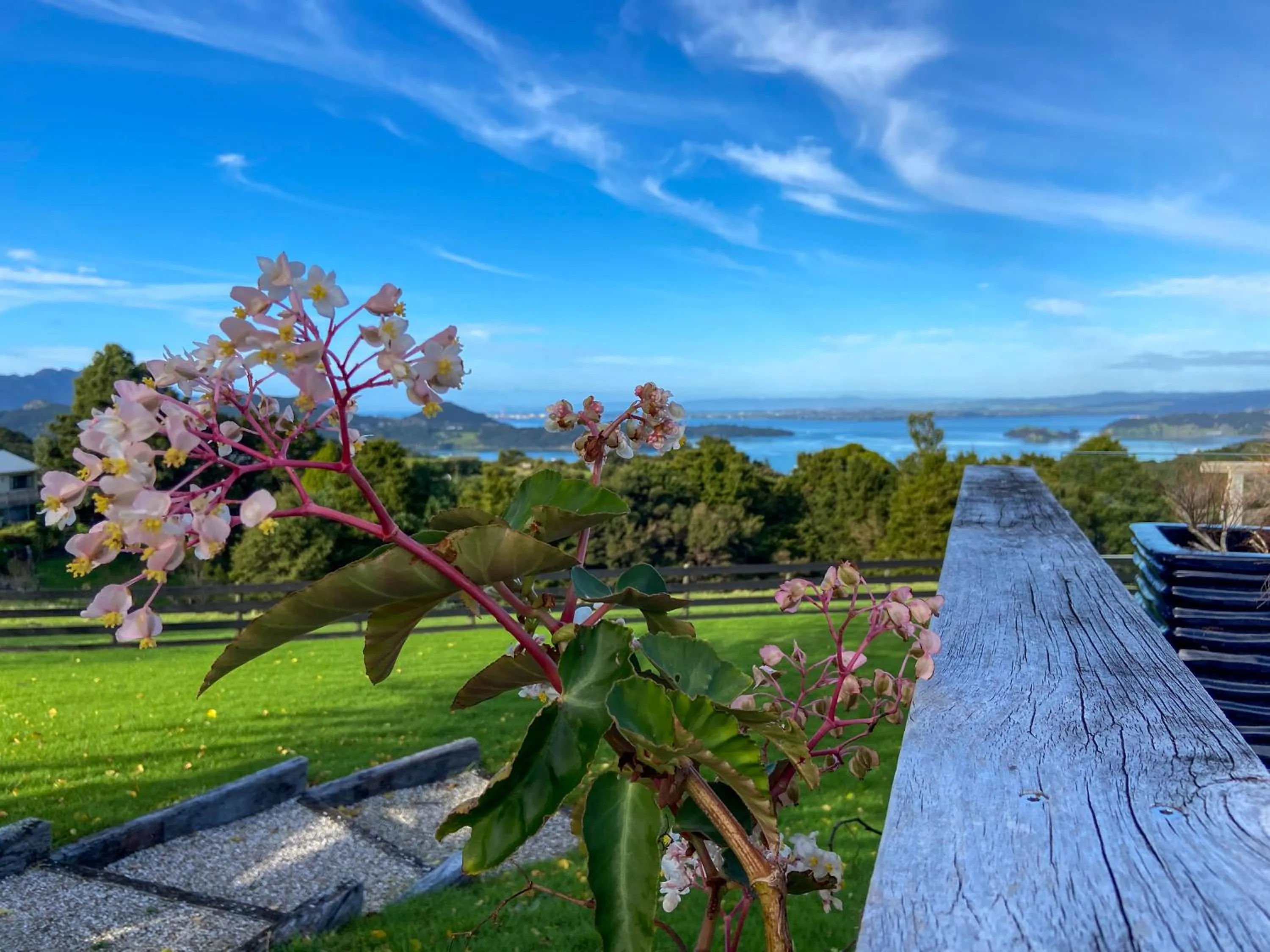 Garden view in Kauri Villas