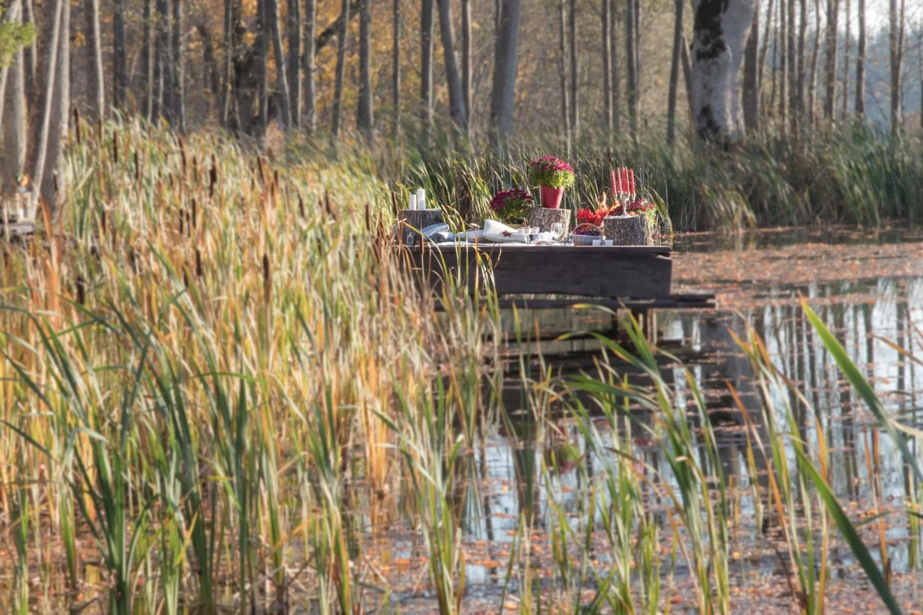 Nearby landmark in Lindenhoff