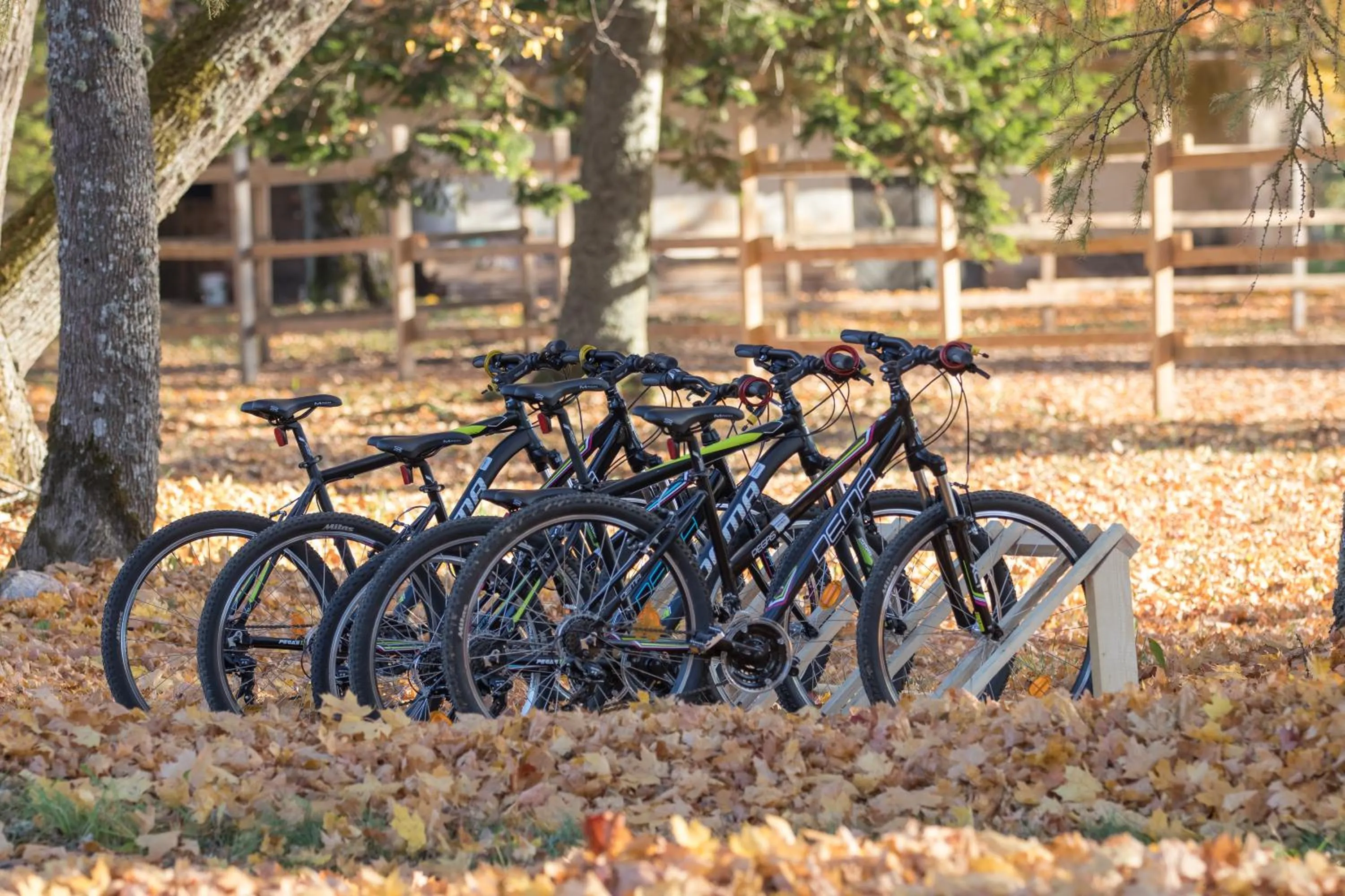 Neighbourhood in Lindenhoff