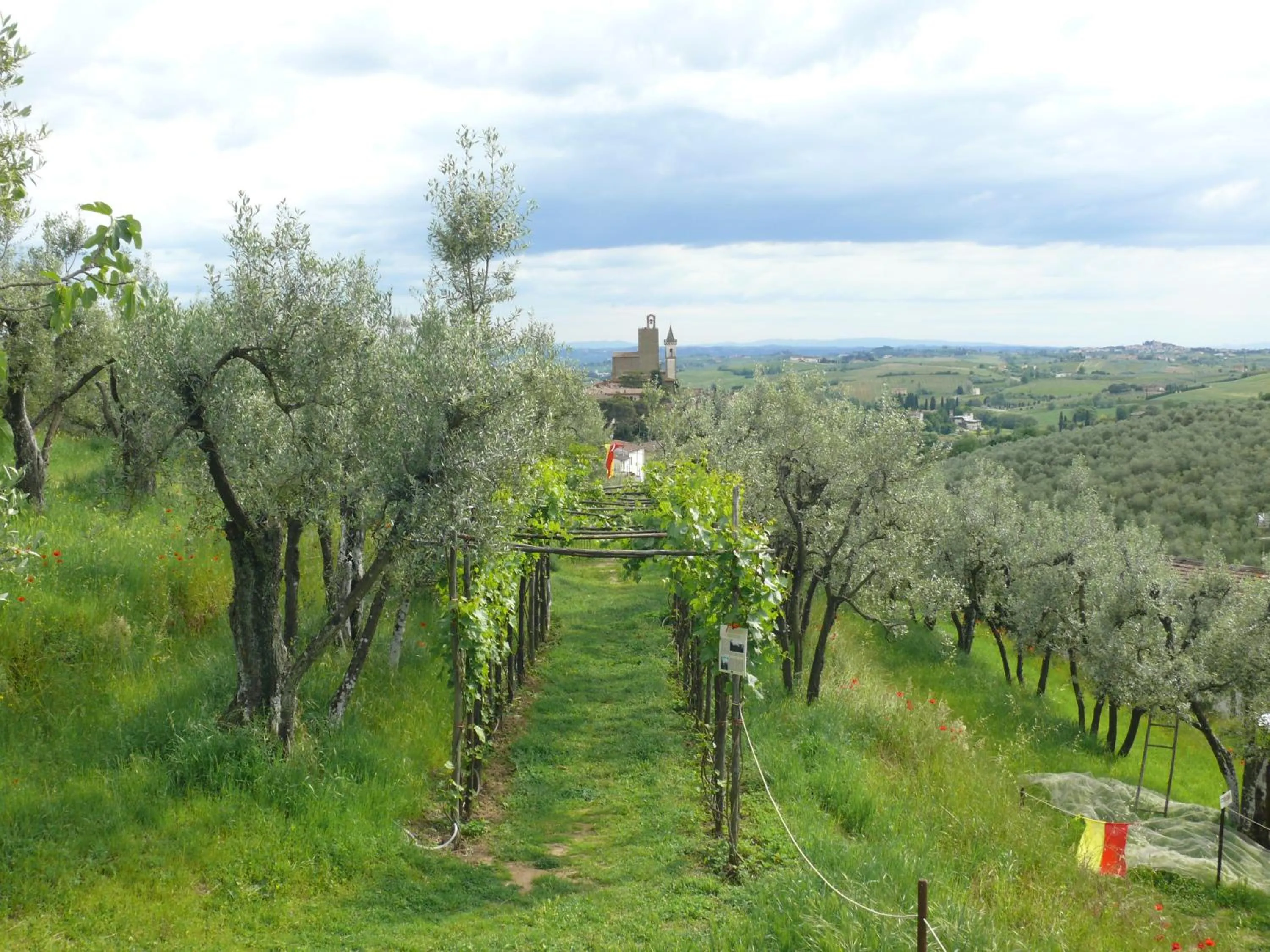 Nearby landmark in Antica Bottega di Vinci
