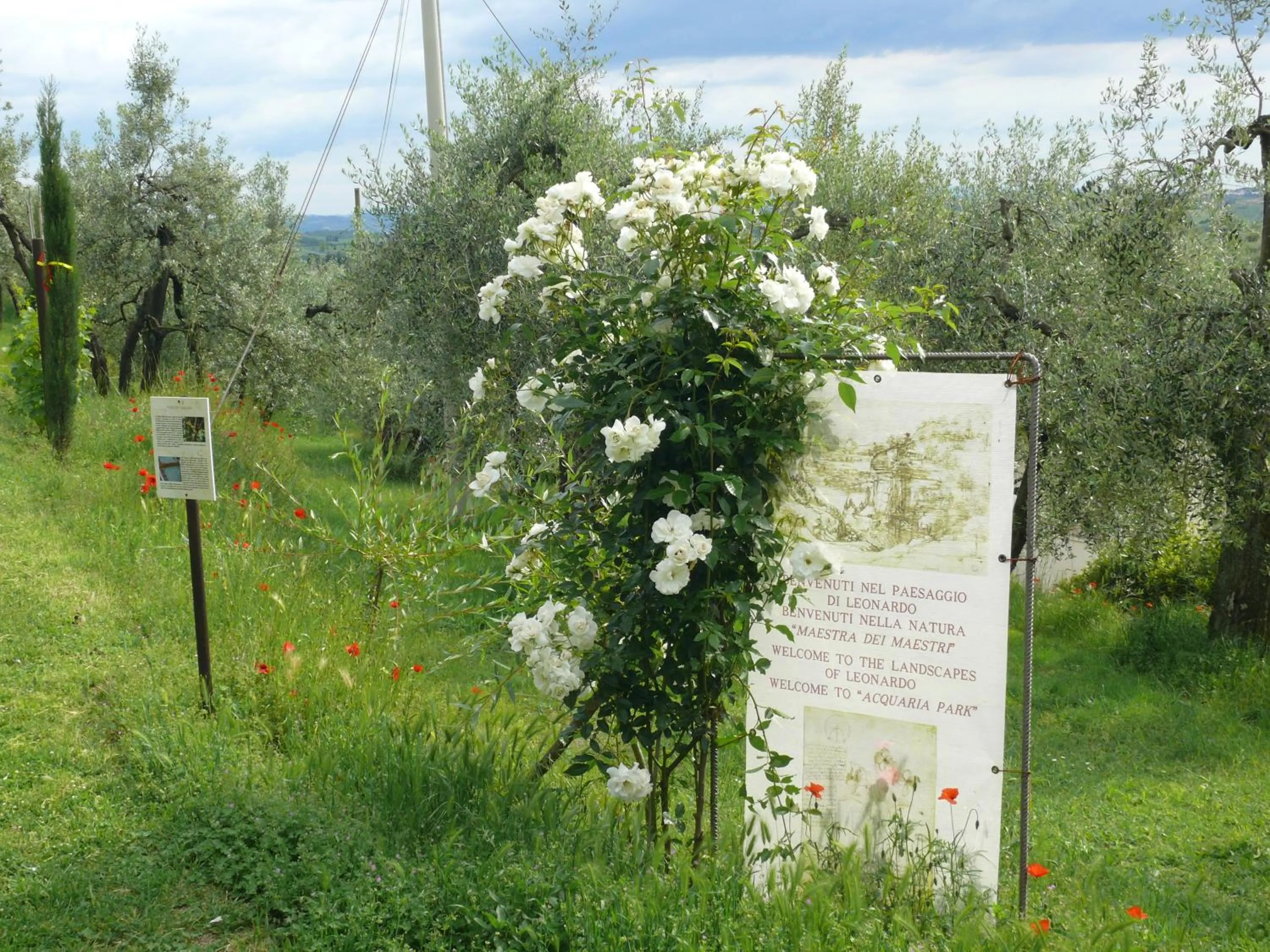 Nearby landmark in Antica Bottega di Vinci