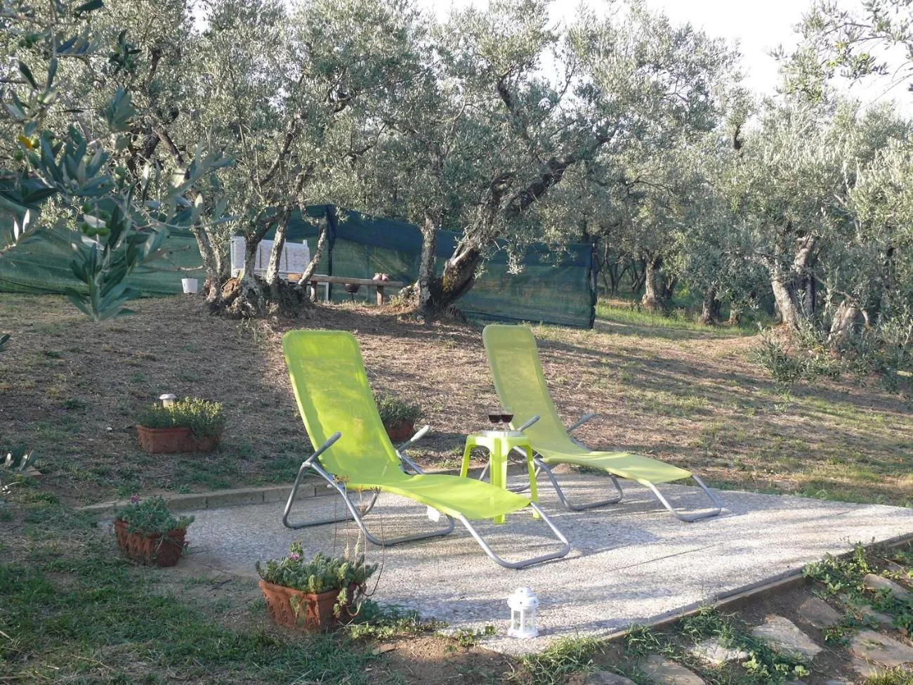 Garden in Antica Bottega di Vinci