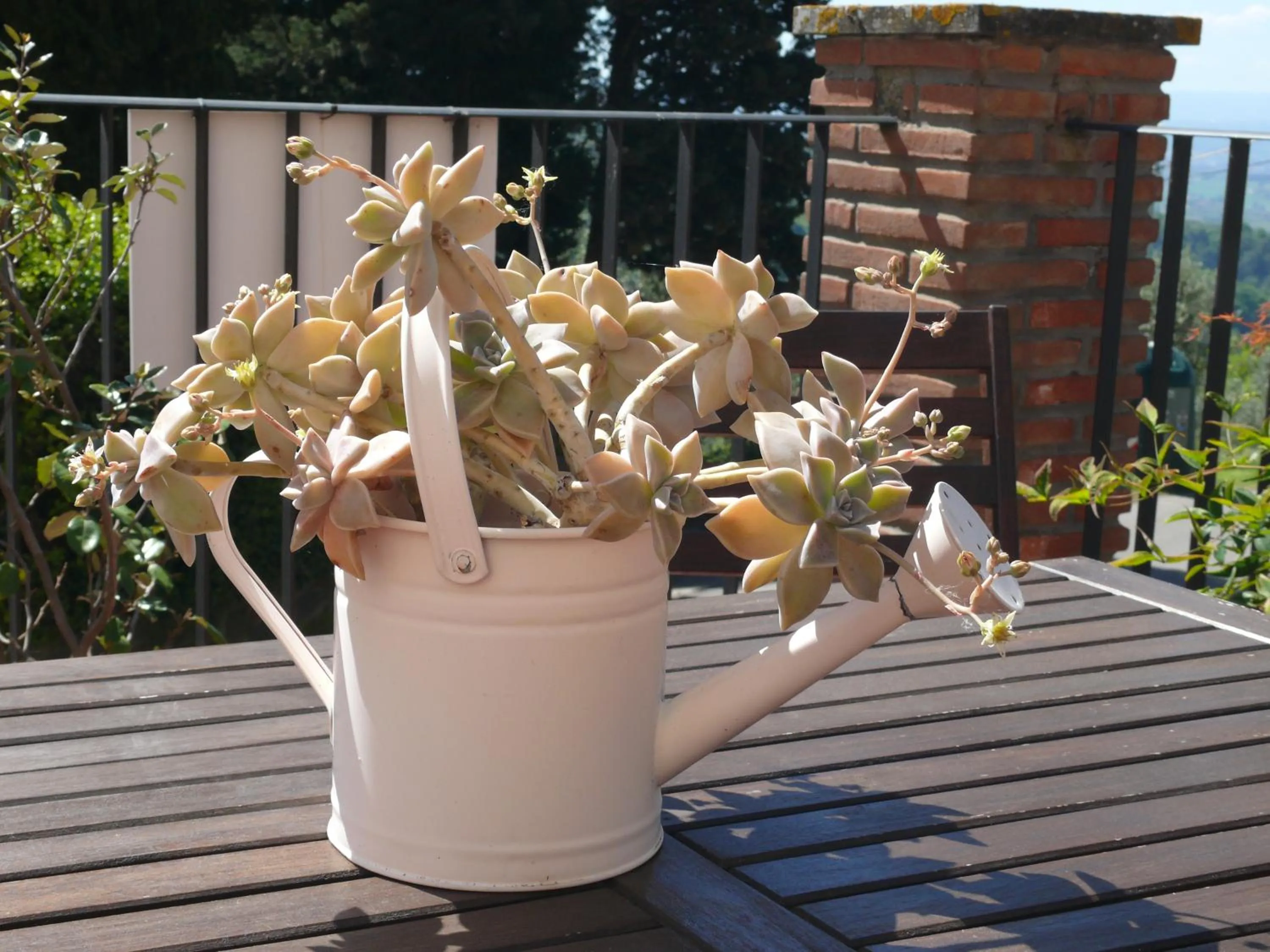 Decorative detail in Antica Bottega di Vinci