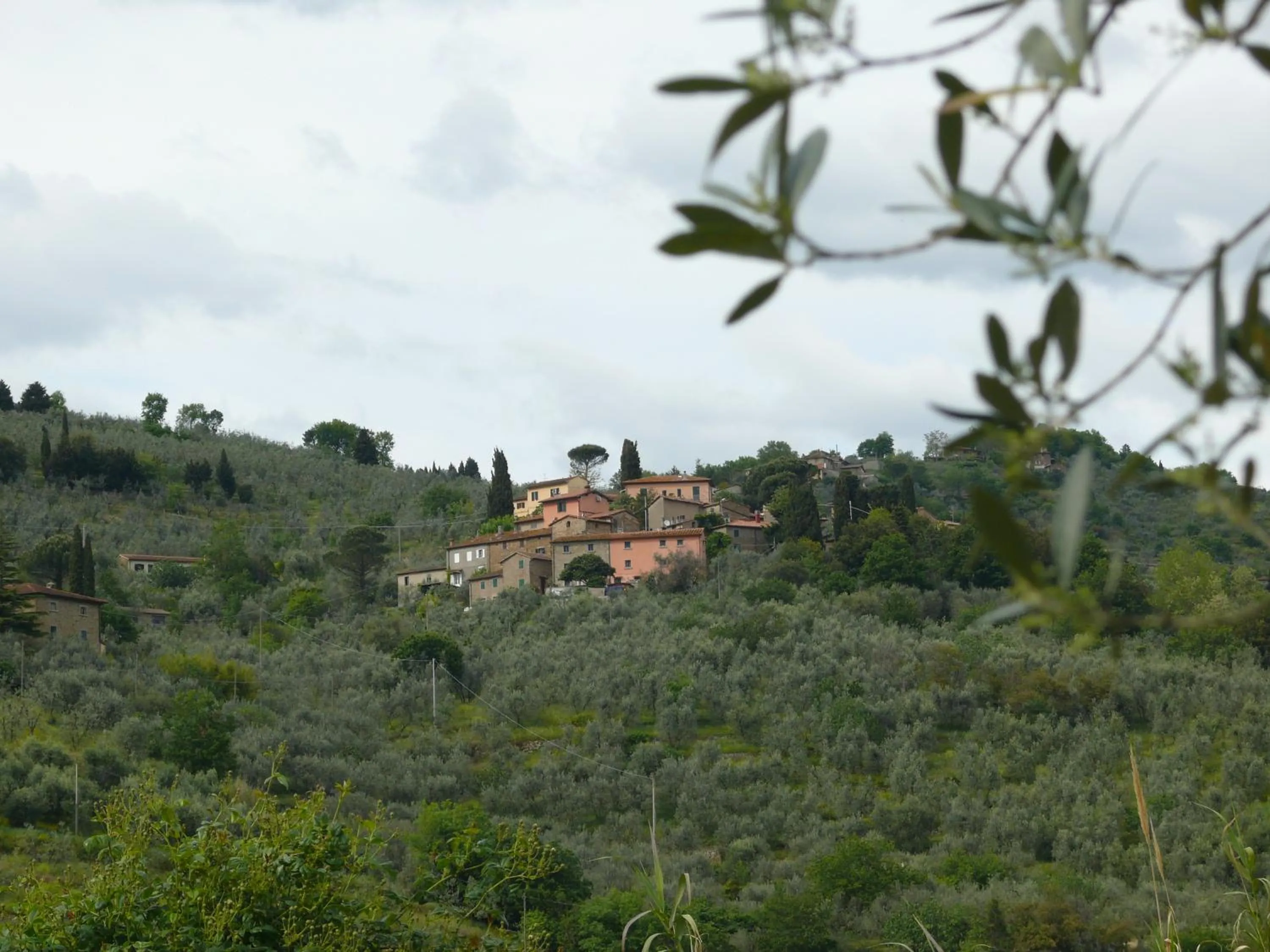 Natural landscape in Antica Bottega di Vinci