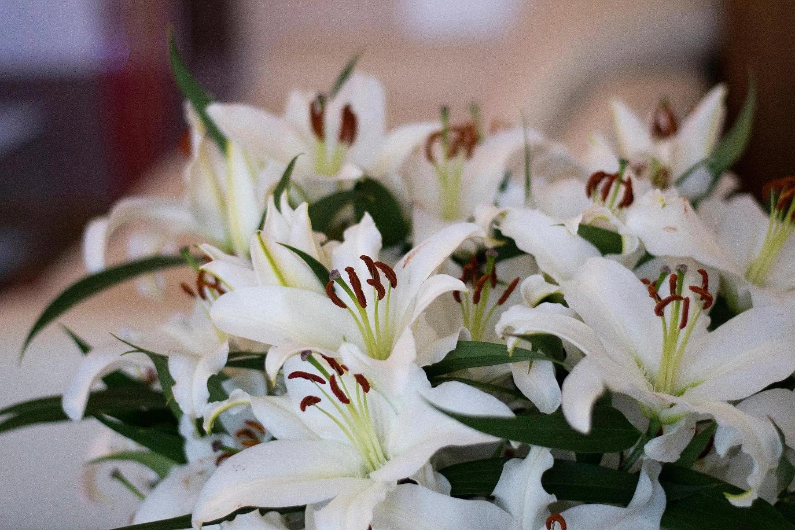 Decorative detail in Hotel Art