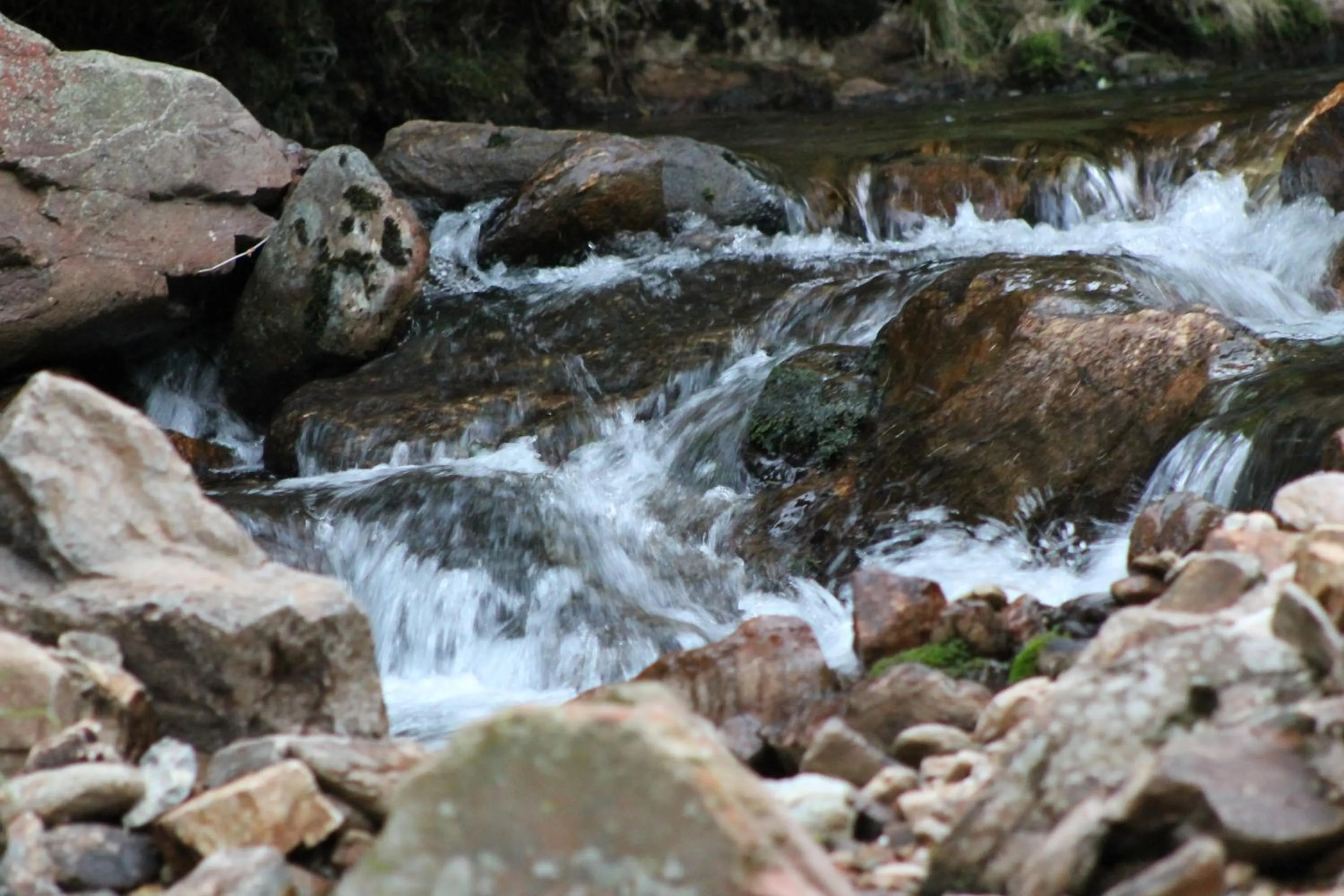 Facade/entrance in Hotel Esprit