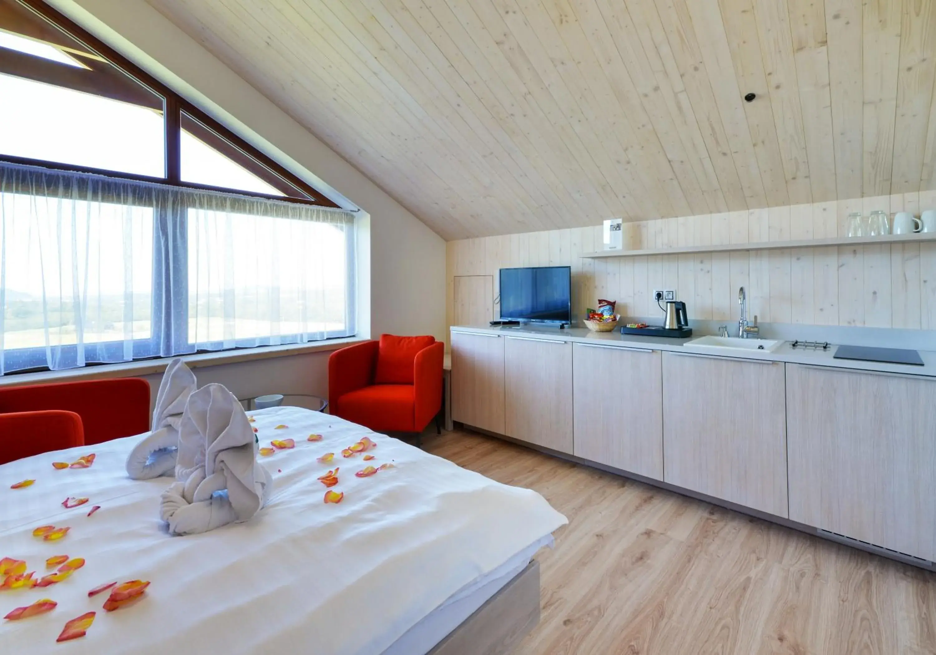 Deluxe Suite - single occupancy in Green Inn Hotel Deluxe Suite - single occupancy in Green Inn Hotel