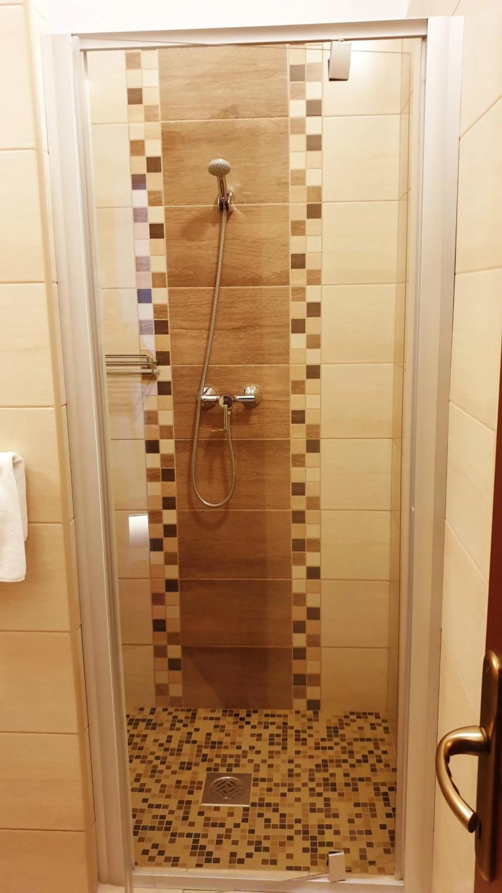 Shower in Diana Club Hotel