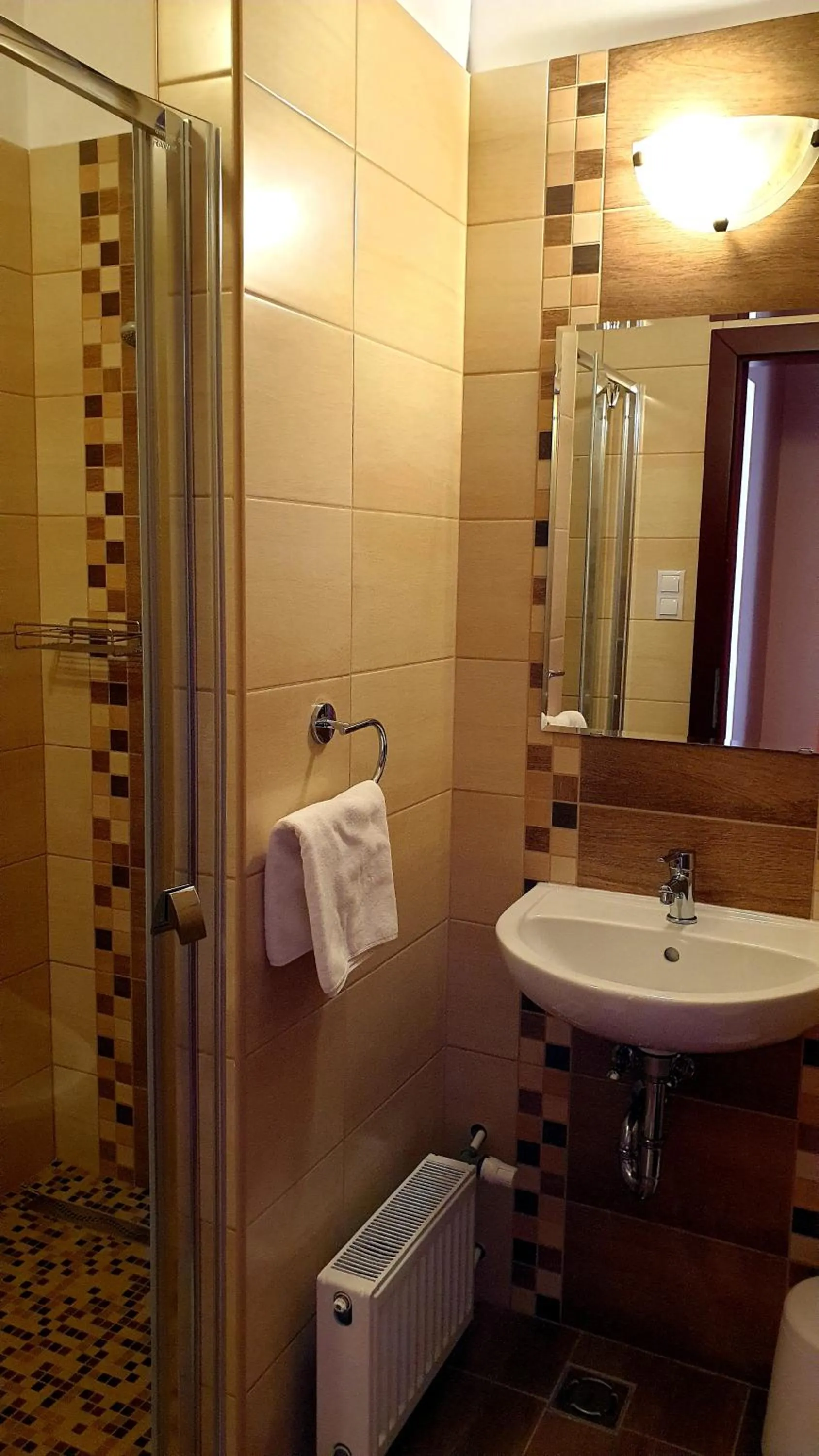 Shower in Diana Club Hotel