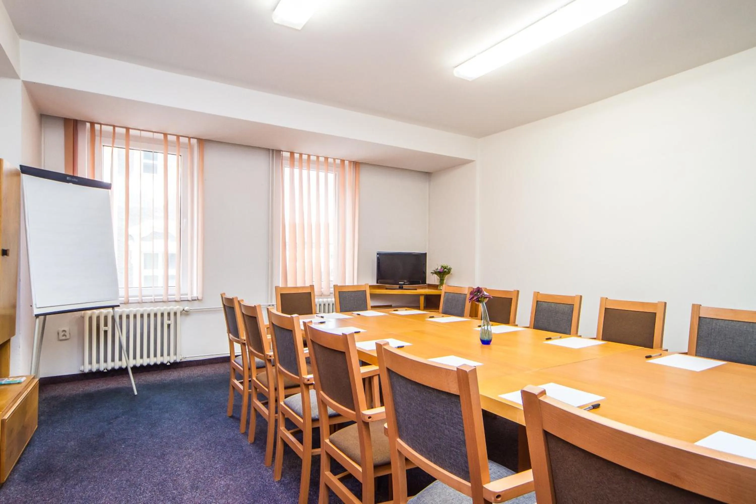 TV and multimedia in LH Hotel Mědínek Old Town