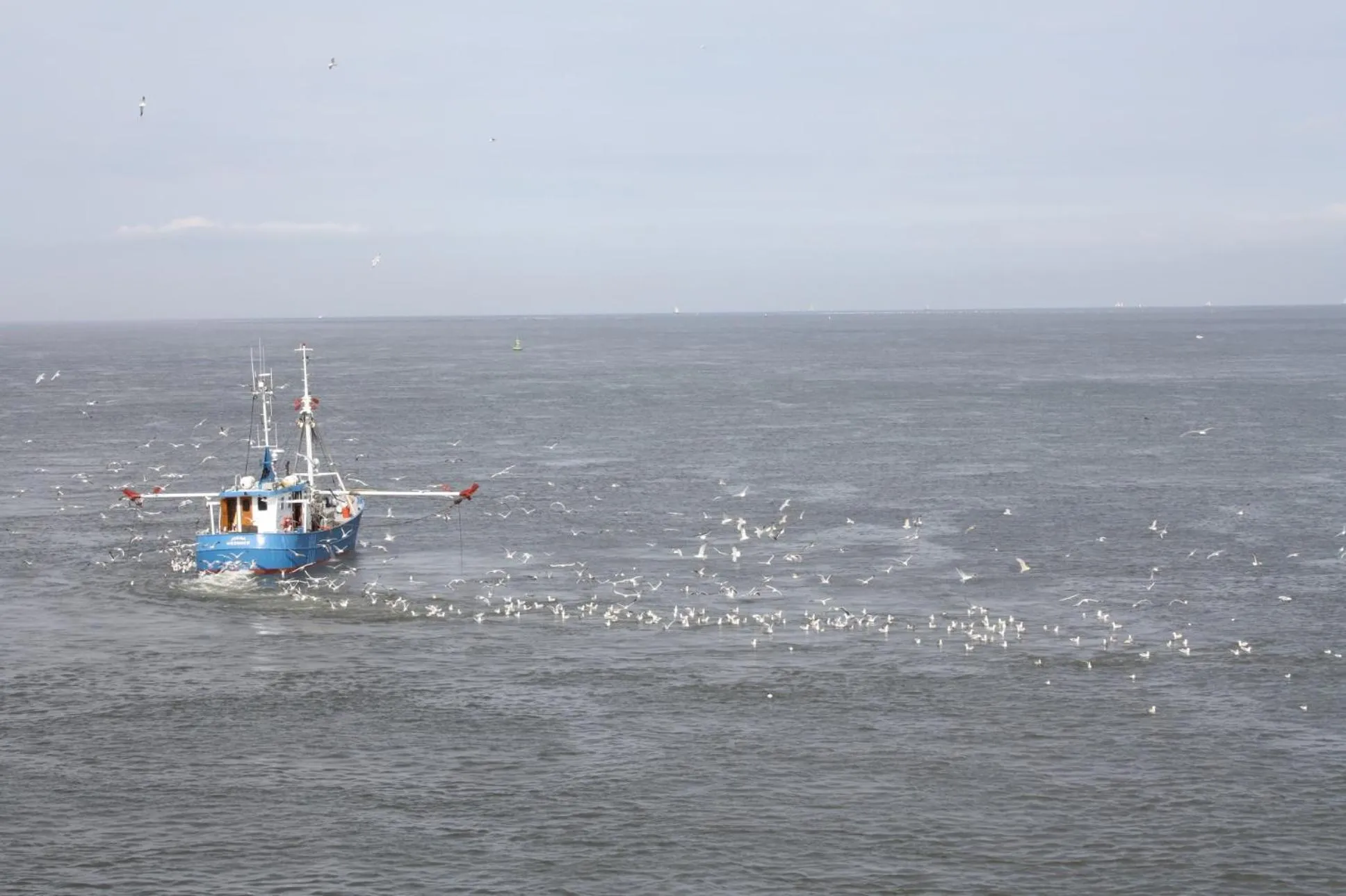 Day in Hotel HaWattn