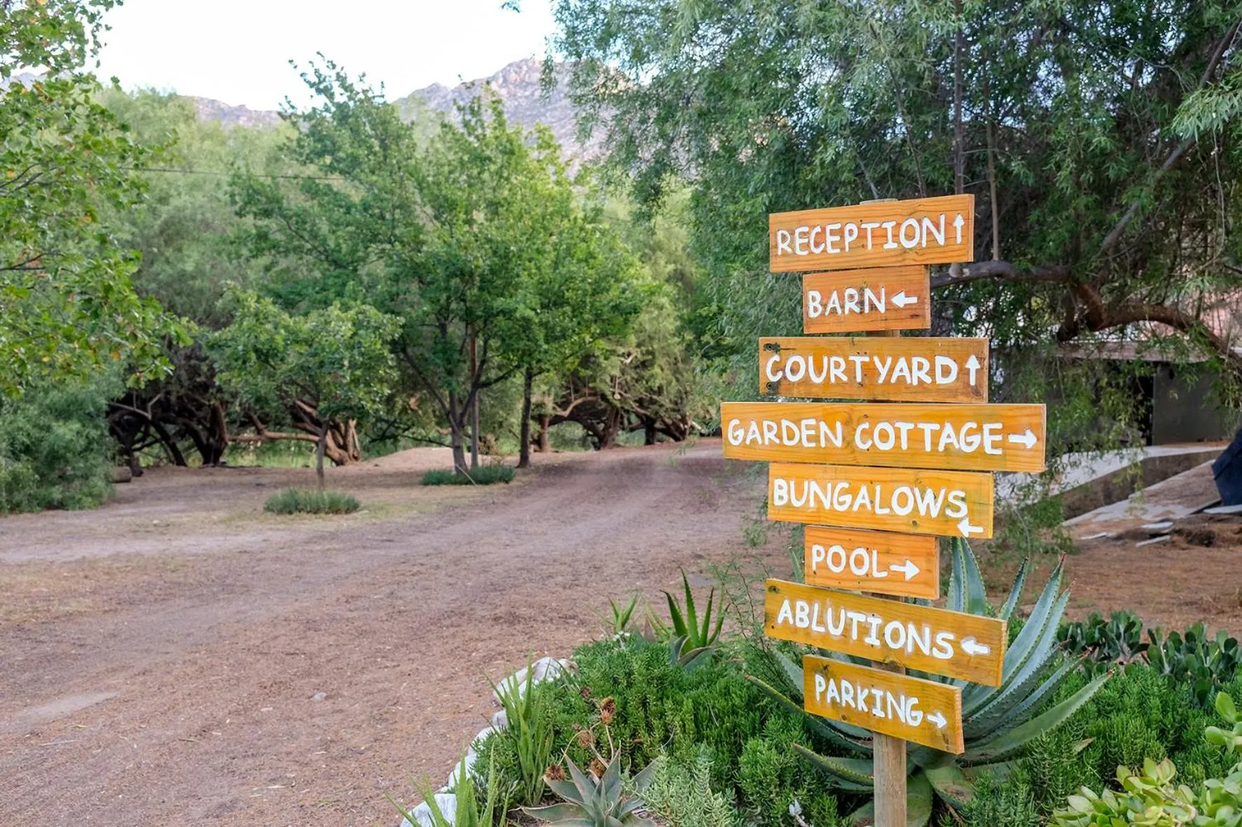 Garden in De Bos Cottages