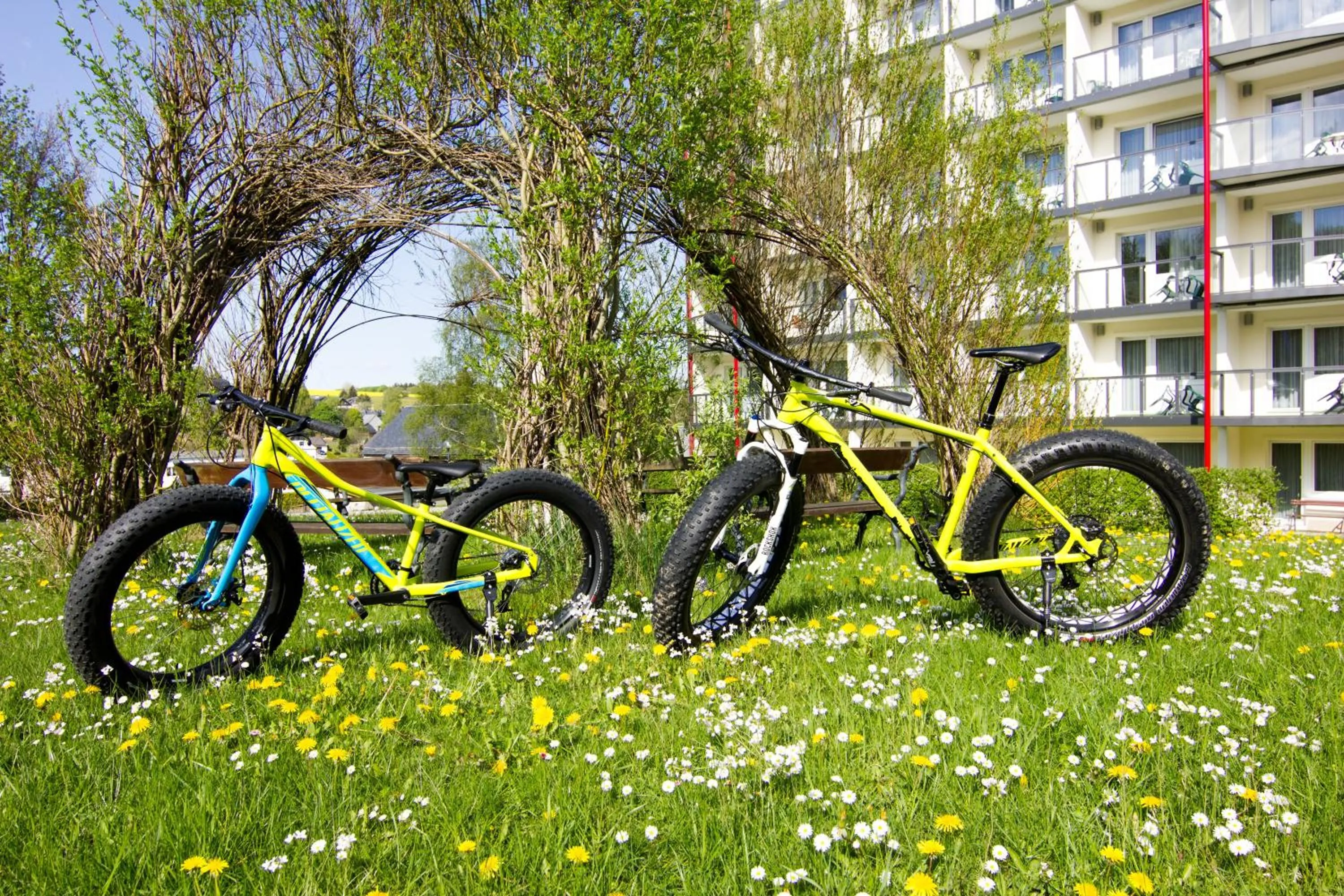 Day in Aparthotel am Rennsteig