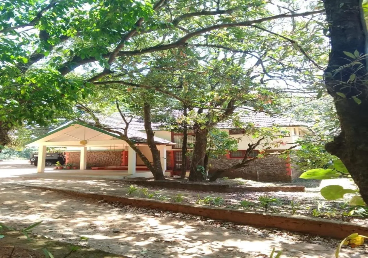 Day in Vagamon Heights