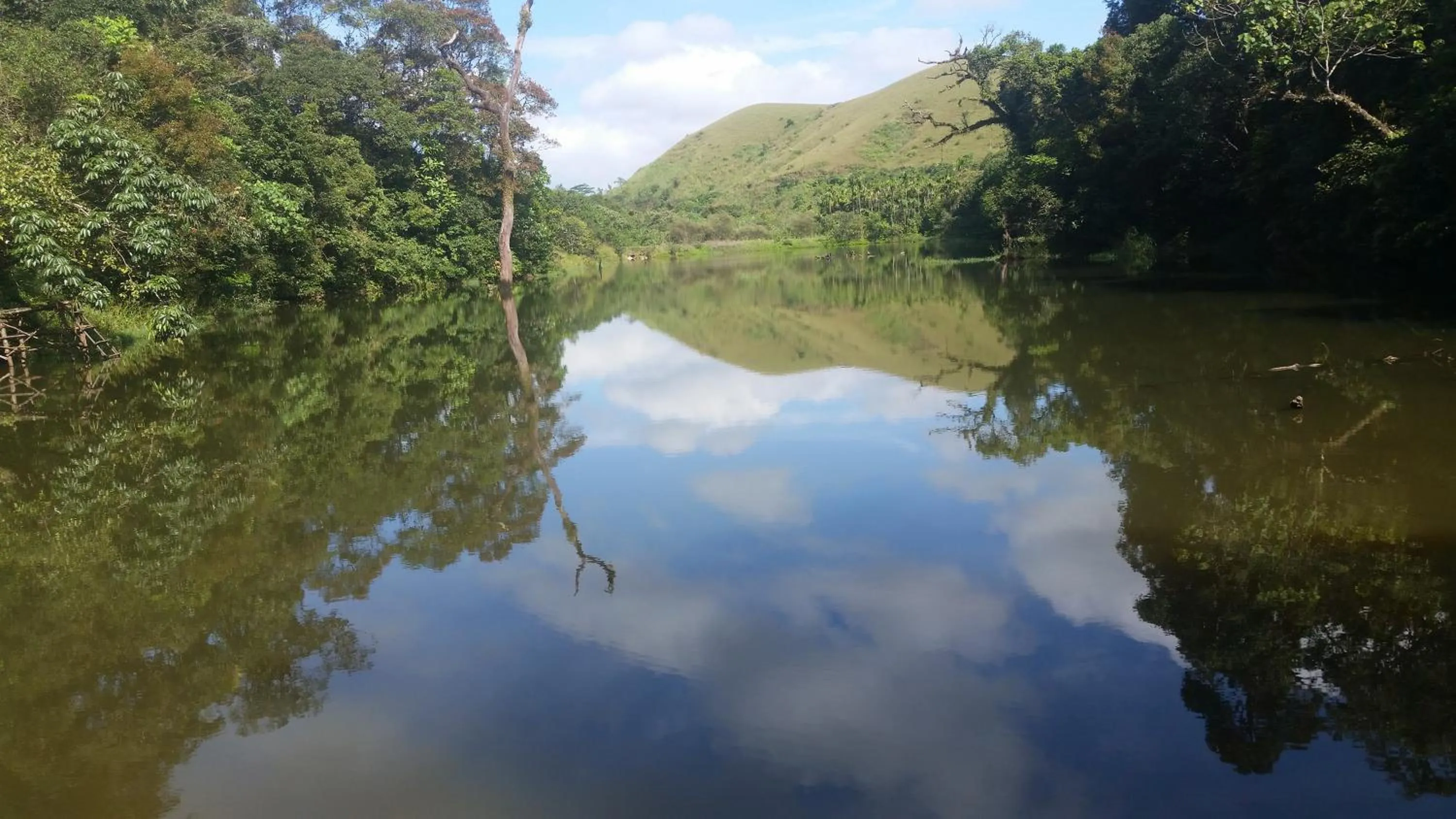 Other in Vagamon Heights