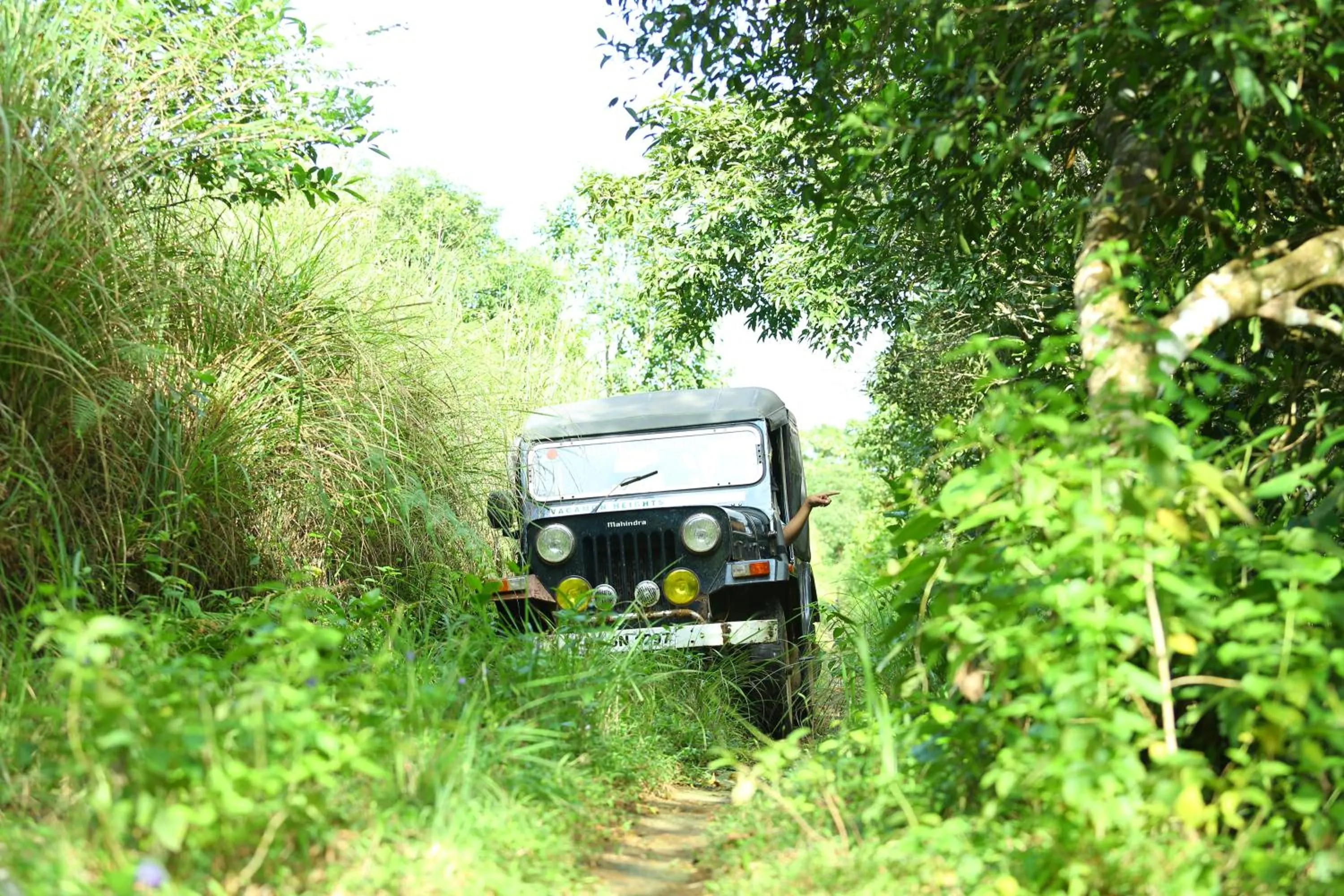 Other in Vagamon Heights