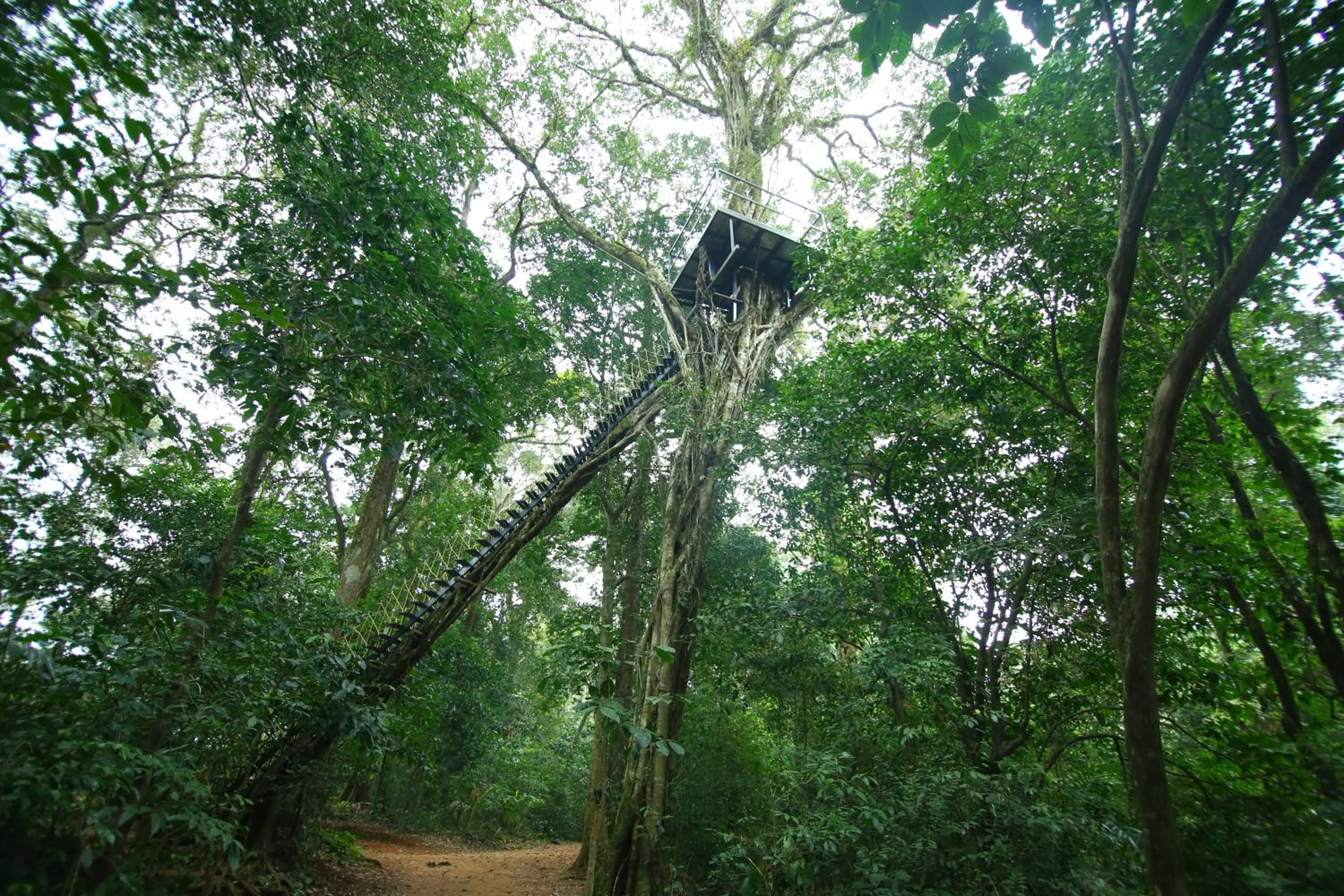 Property building in Vagamon Heights