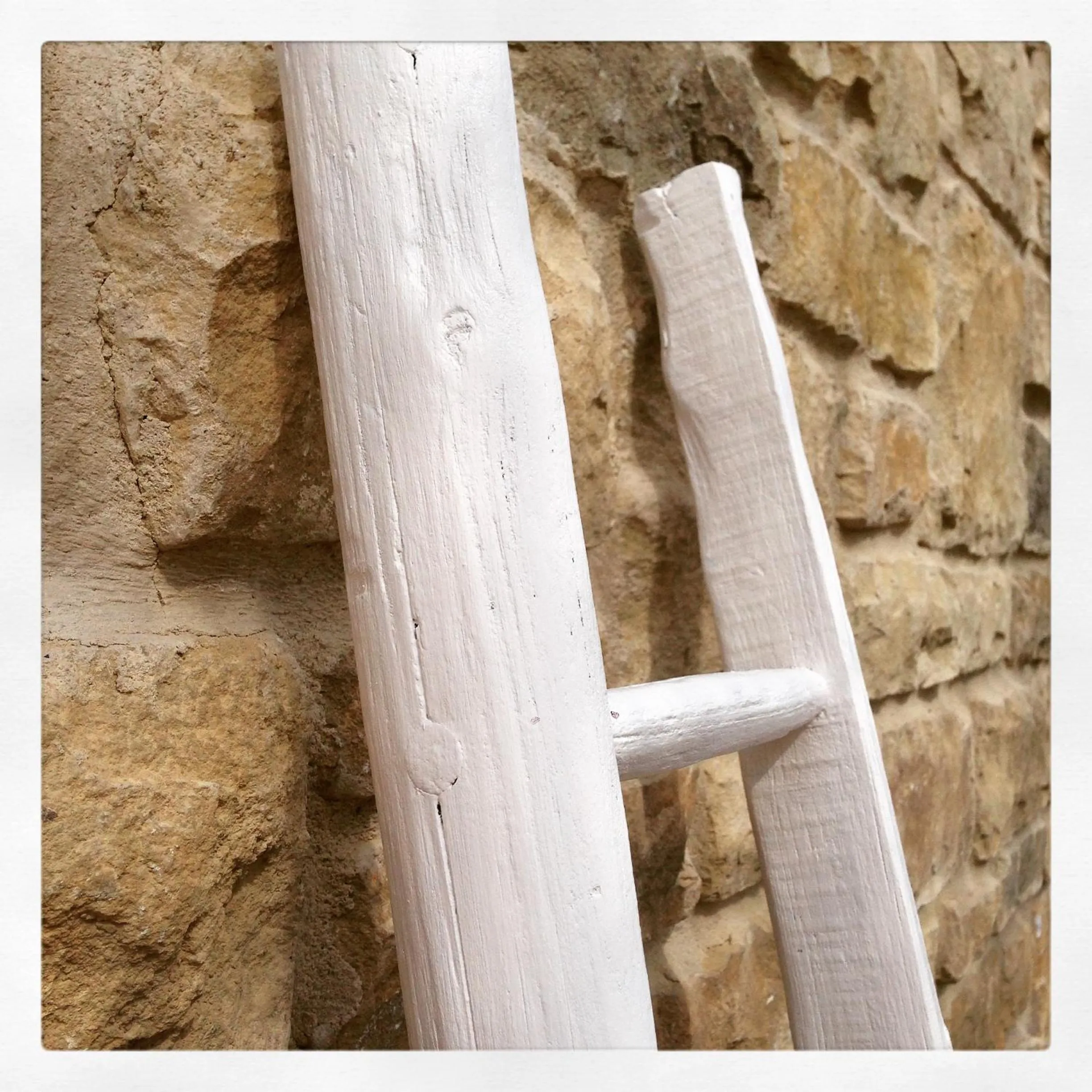 People in Benci House