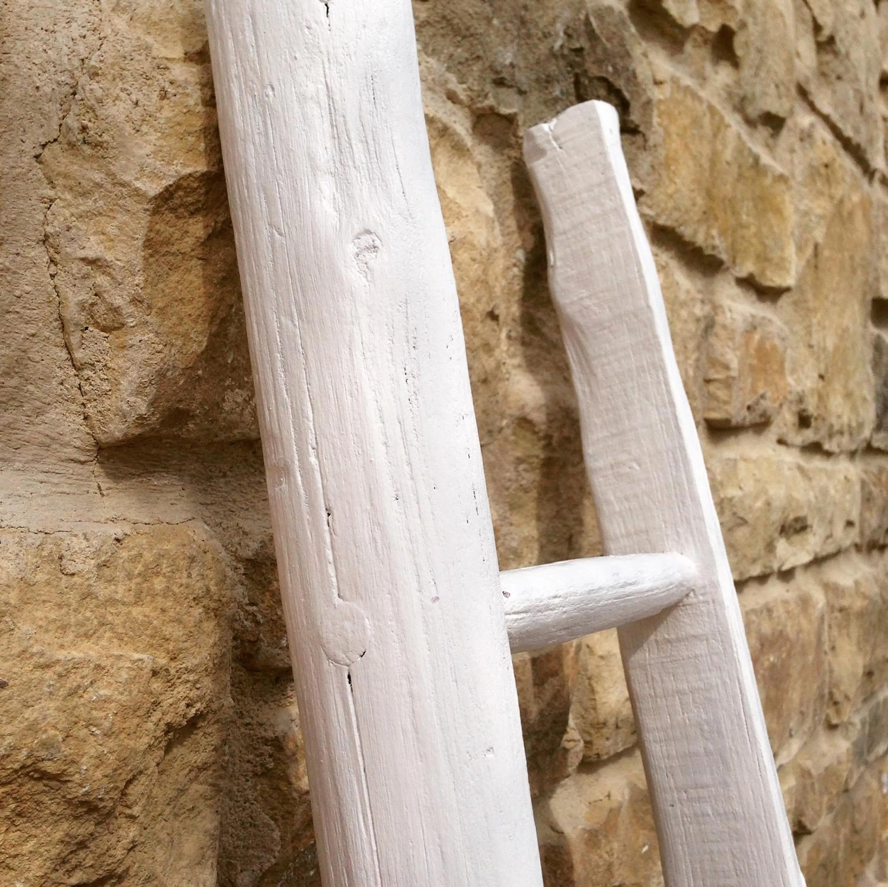 Property building in Benci House