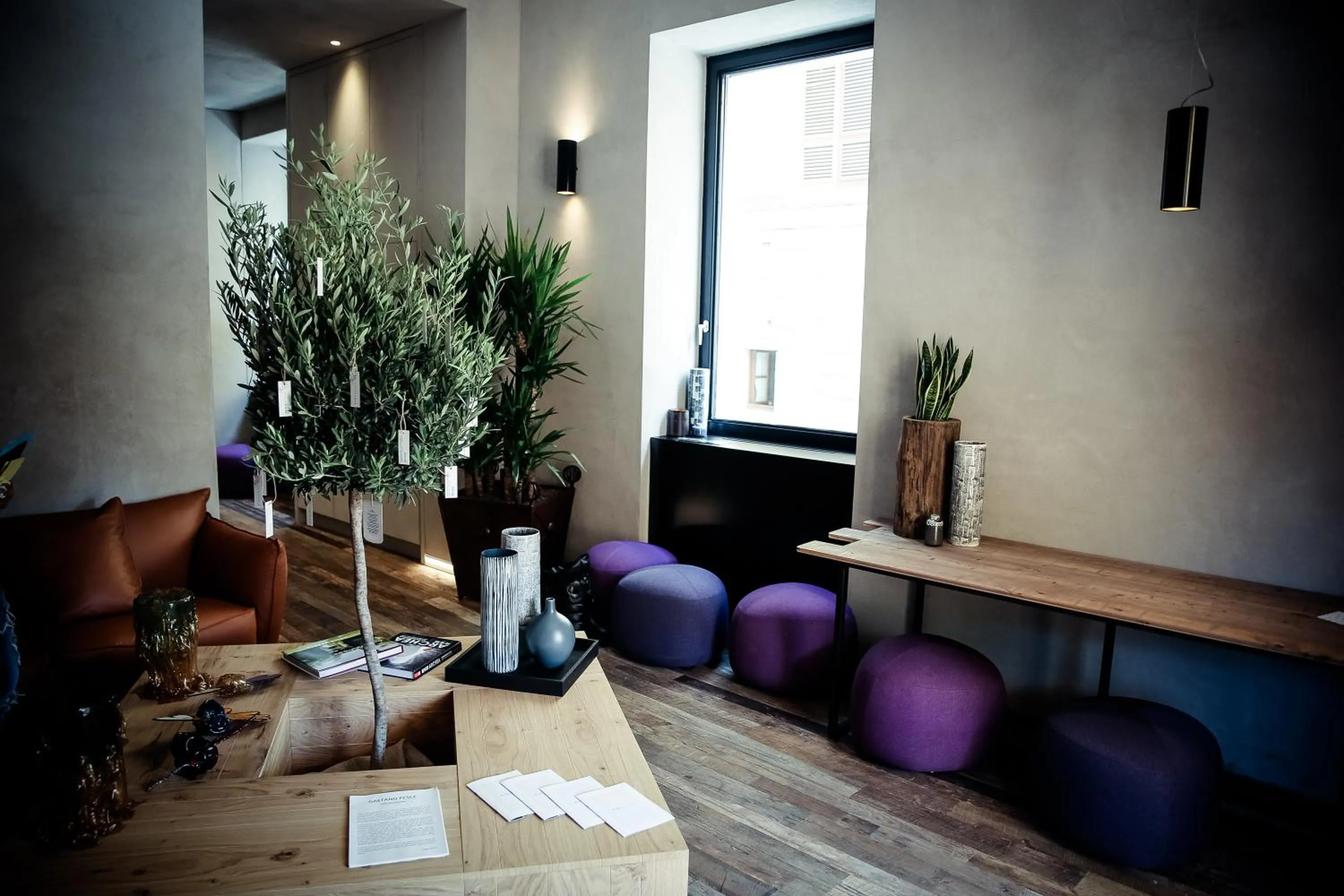 Entertainment in Benci House