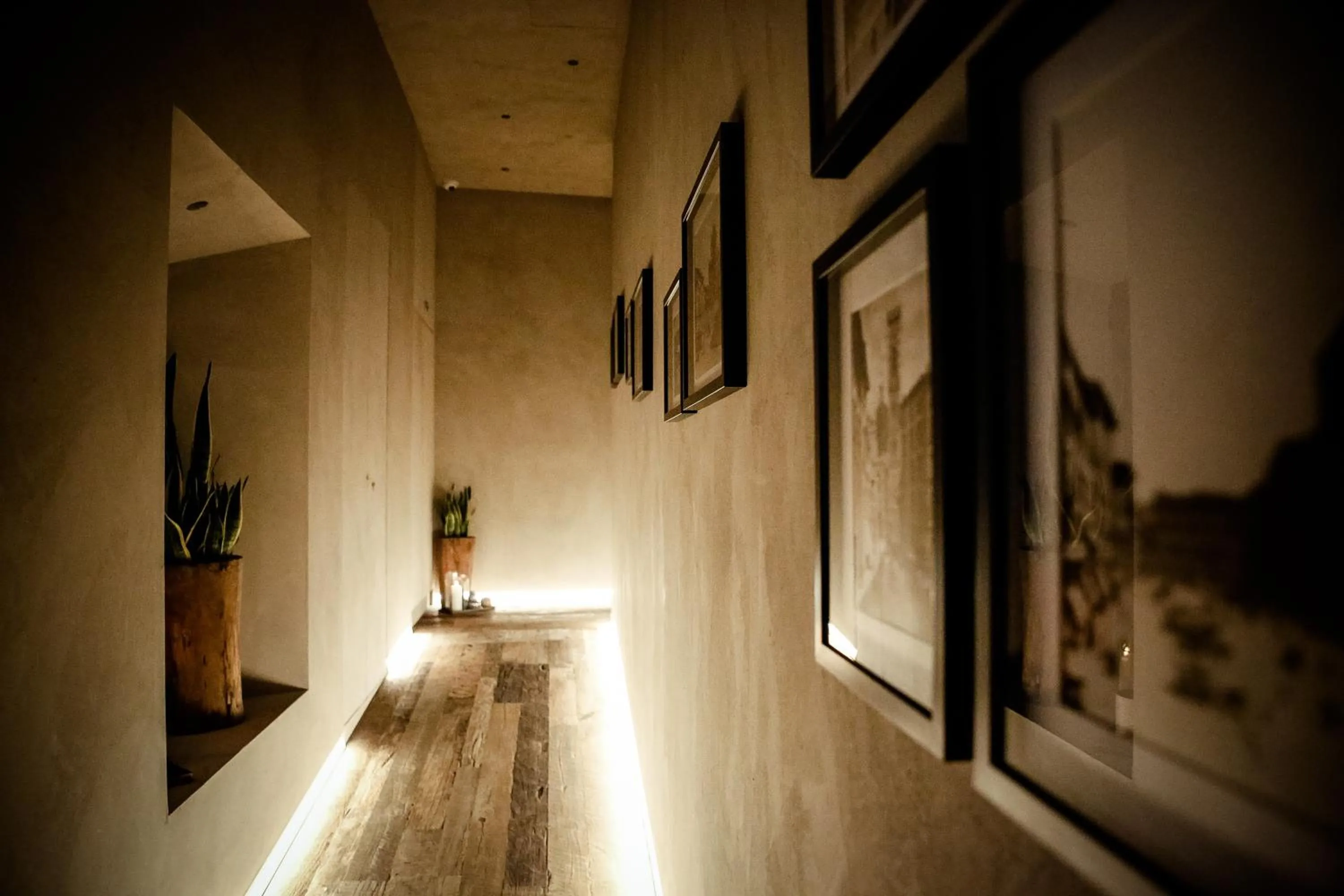 Logo/Certificate/Sign in Benci House