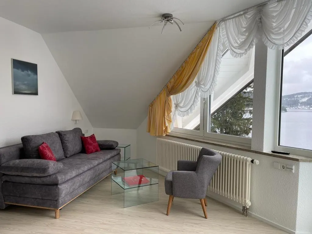 Living room in Sunside Ferien Wellness Oase Hotel Apartment's Schwarzwald am Schluchsee
