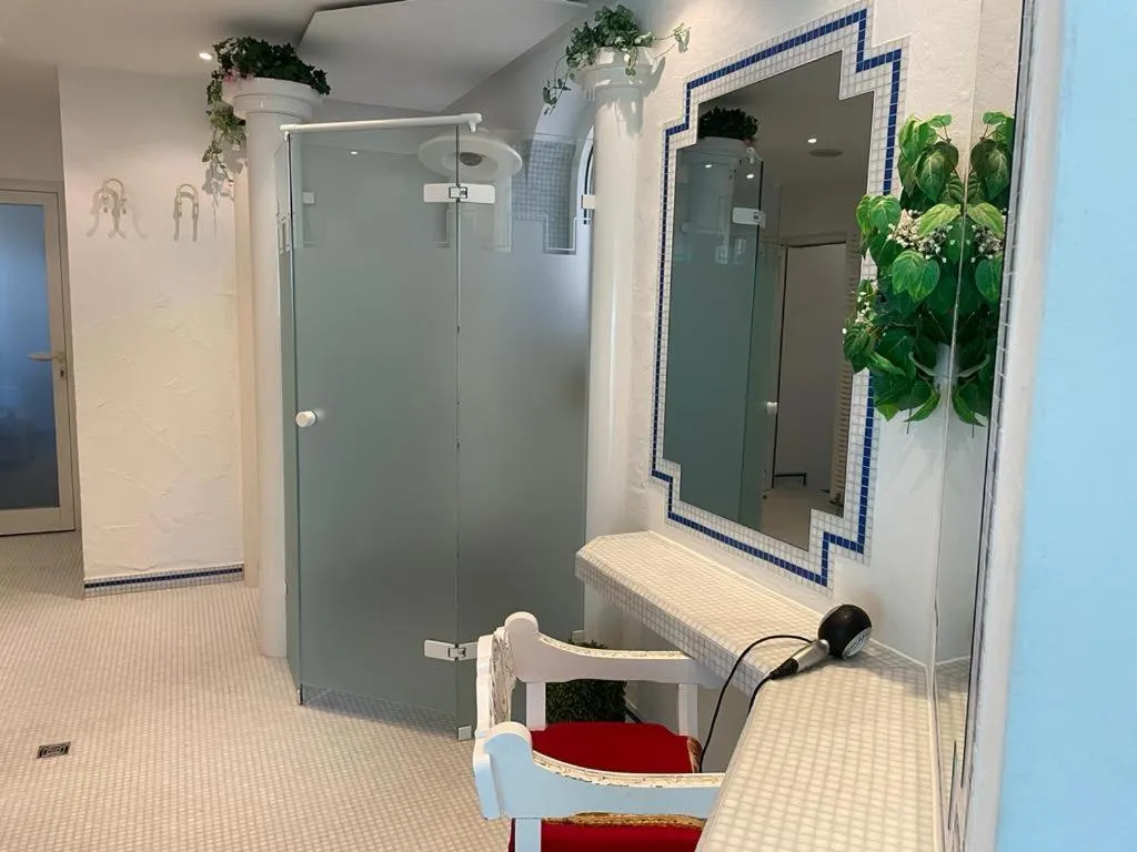 Shower in Sunside Ferien Wellness Oase Hotel Apartment's Schwarzwald am Schluchsee