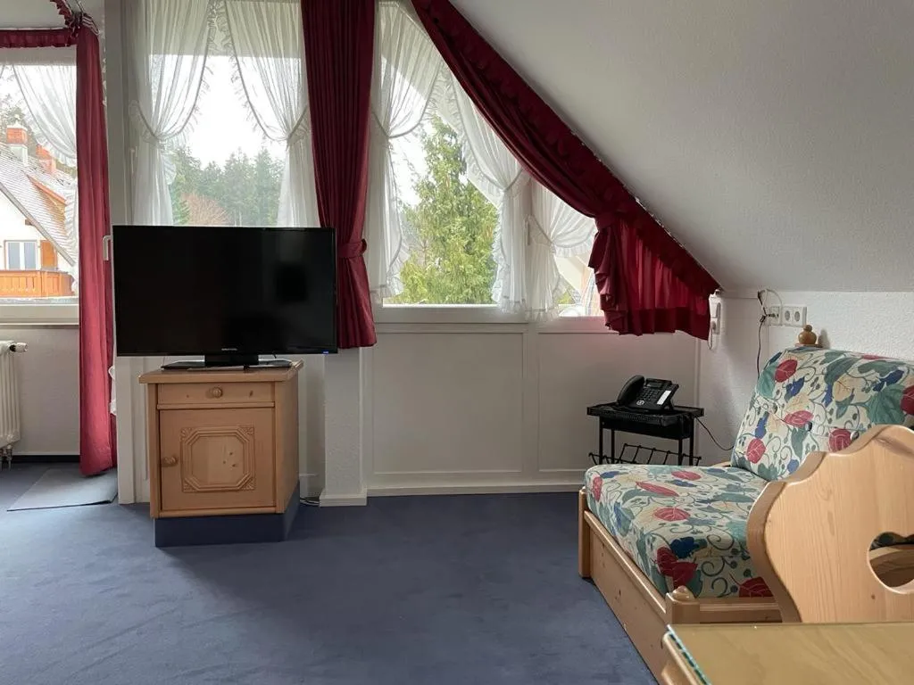 TV and multimedia in Sunside Ferien Wellness Oase Hotel Apartment's Schwarzwald am Schluchsee