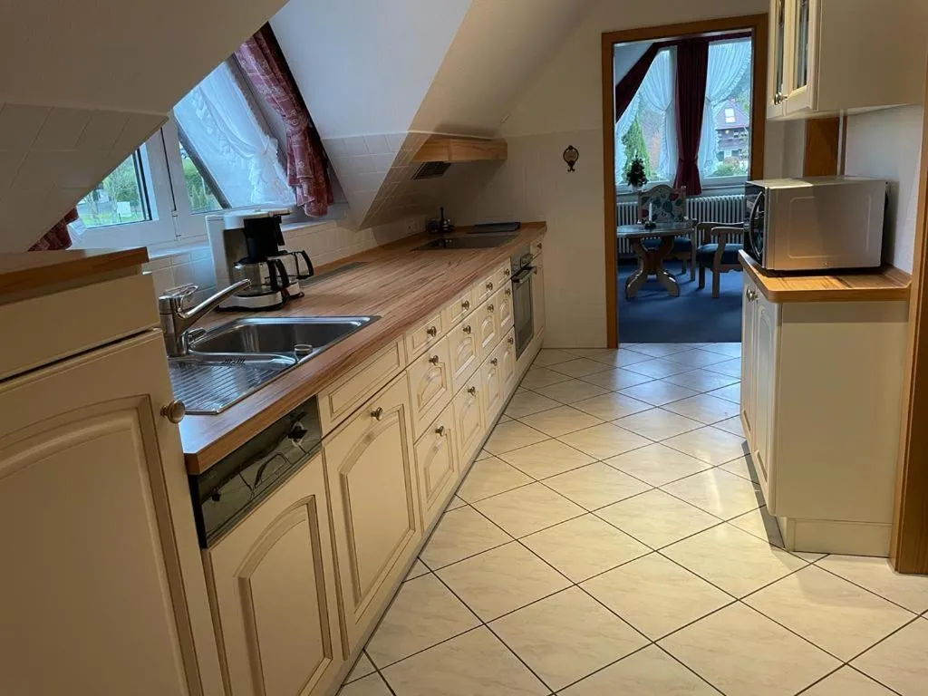 Kitchen or kitchenette in Sunside Ferien Wellness Oase Hotel Apartment's Schwarzwald am Schluchsee