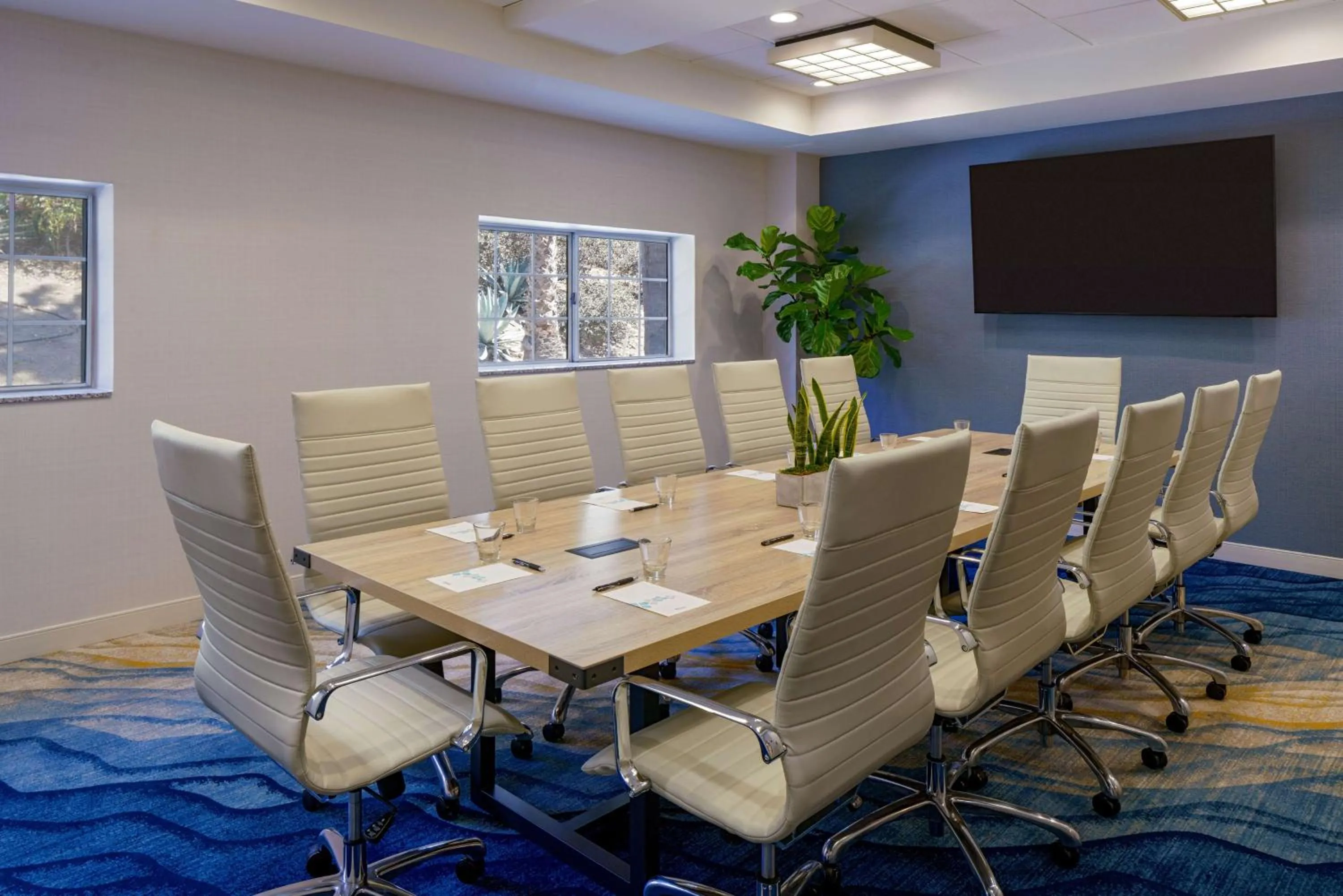 TV and multimedia in Hilton Garden Inn Dana Point Doheny Beach