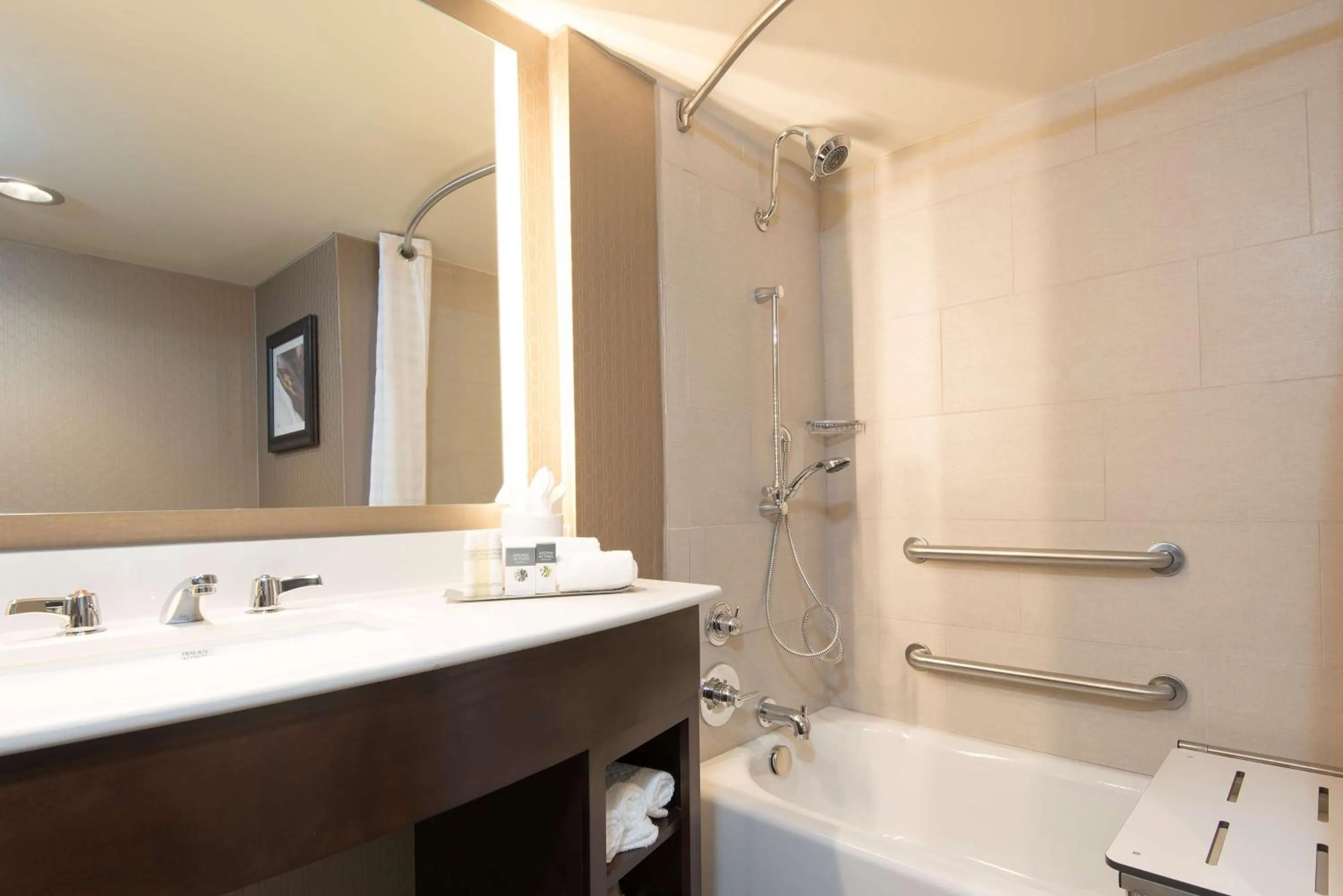 Bathroom in DoubleTree by Hilton Schenectady