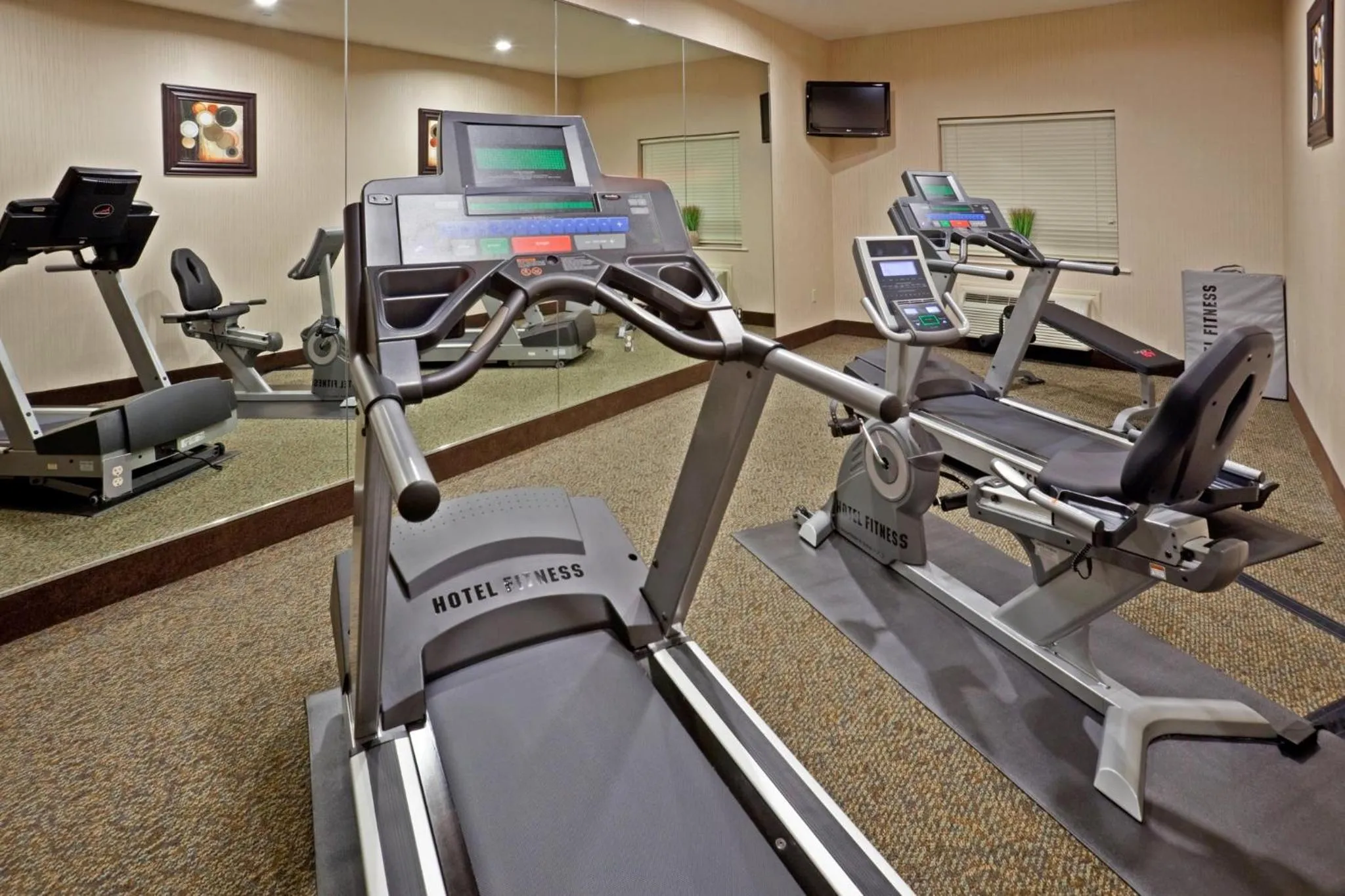 Fitness centre/facilities in Holiday Inn Express Hotel & Suites Cedar Hill by IHG