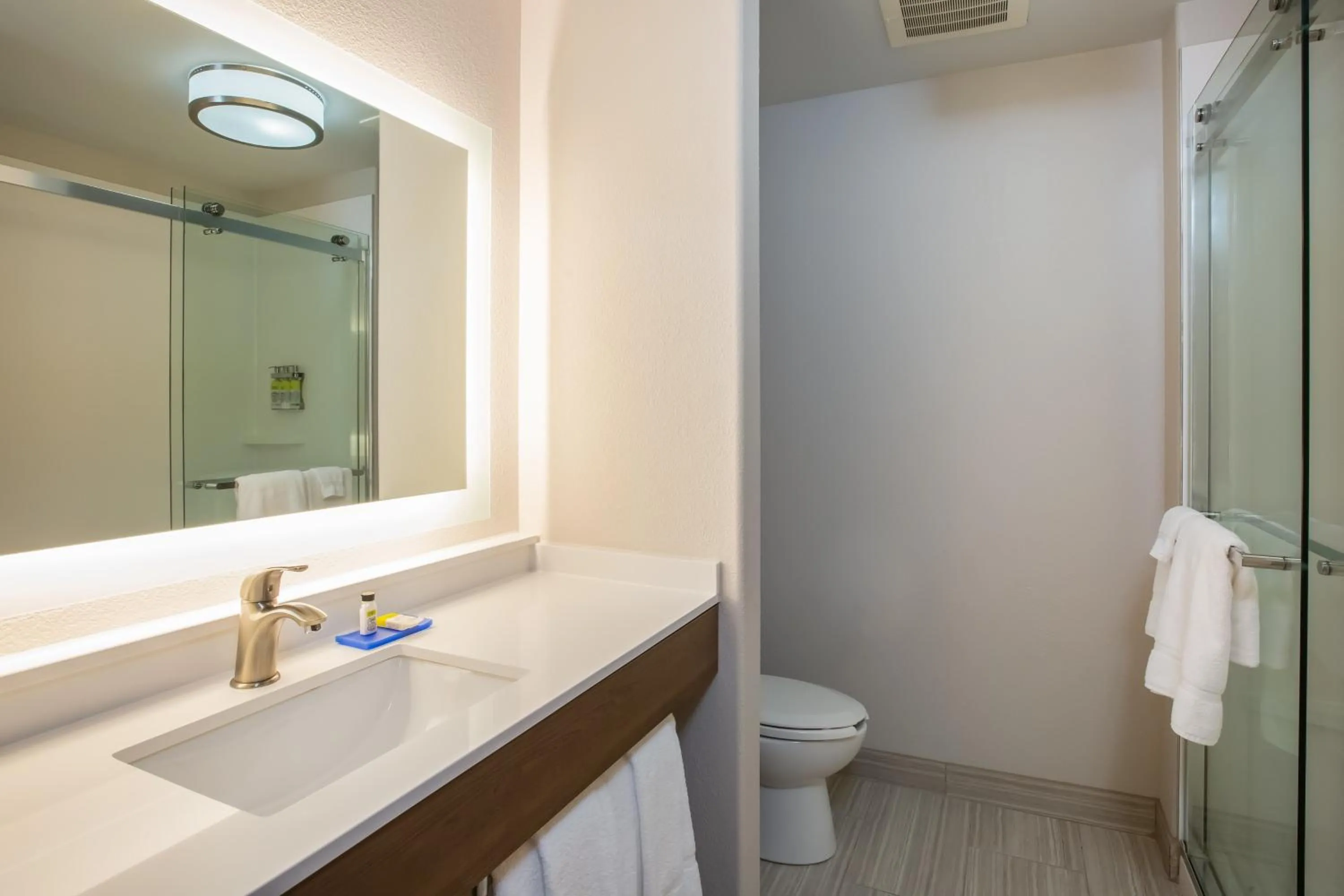 Bathroom in Holiday Inn Express & Suites Atlanta Southwest-Fairburn