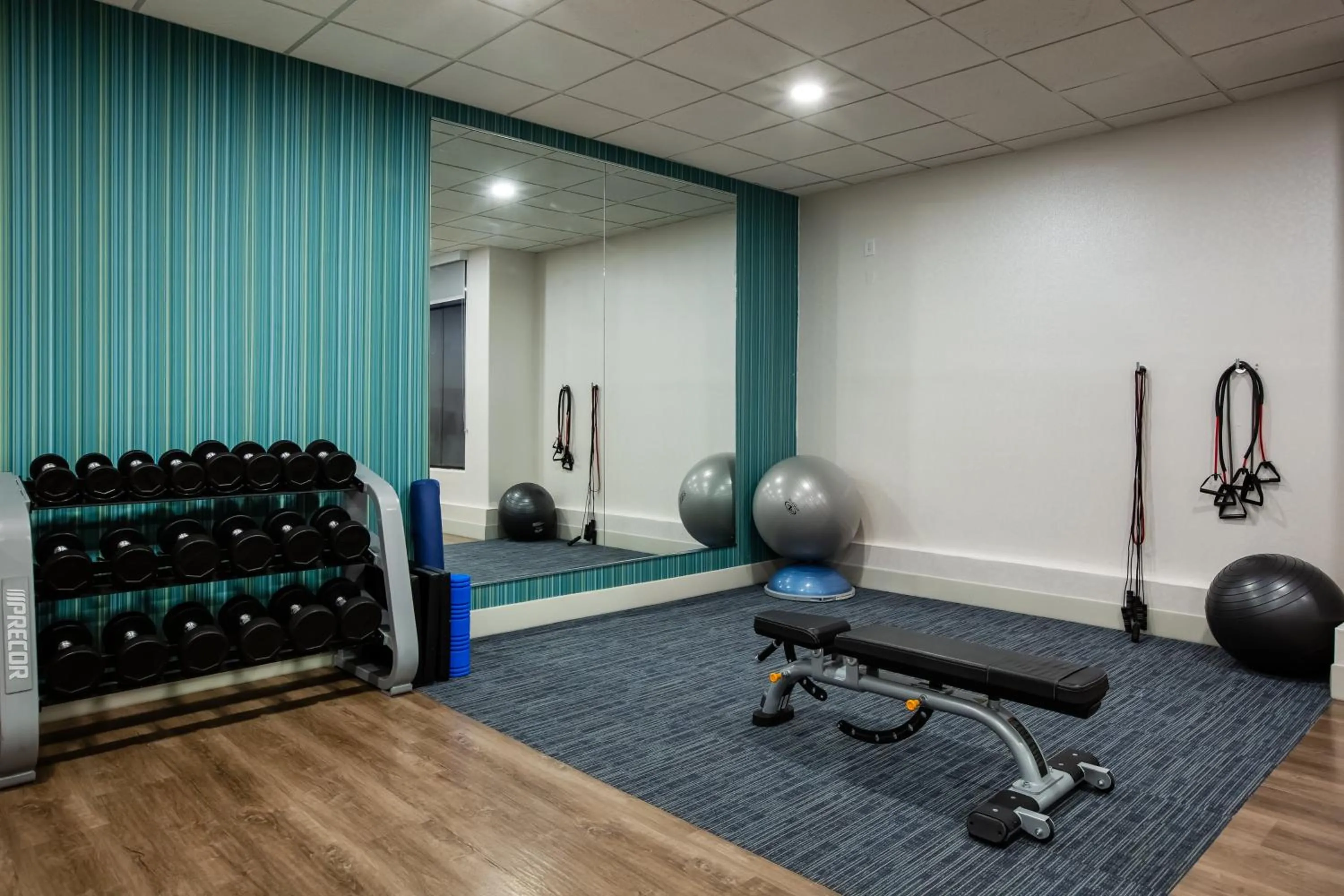 Fitness centre/facilities in Holiday Inn Express & Suites Atlanta Southwest-Fairburn